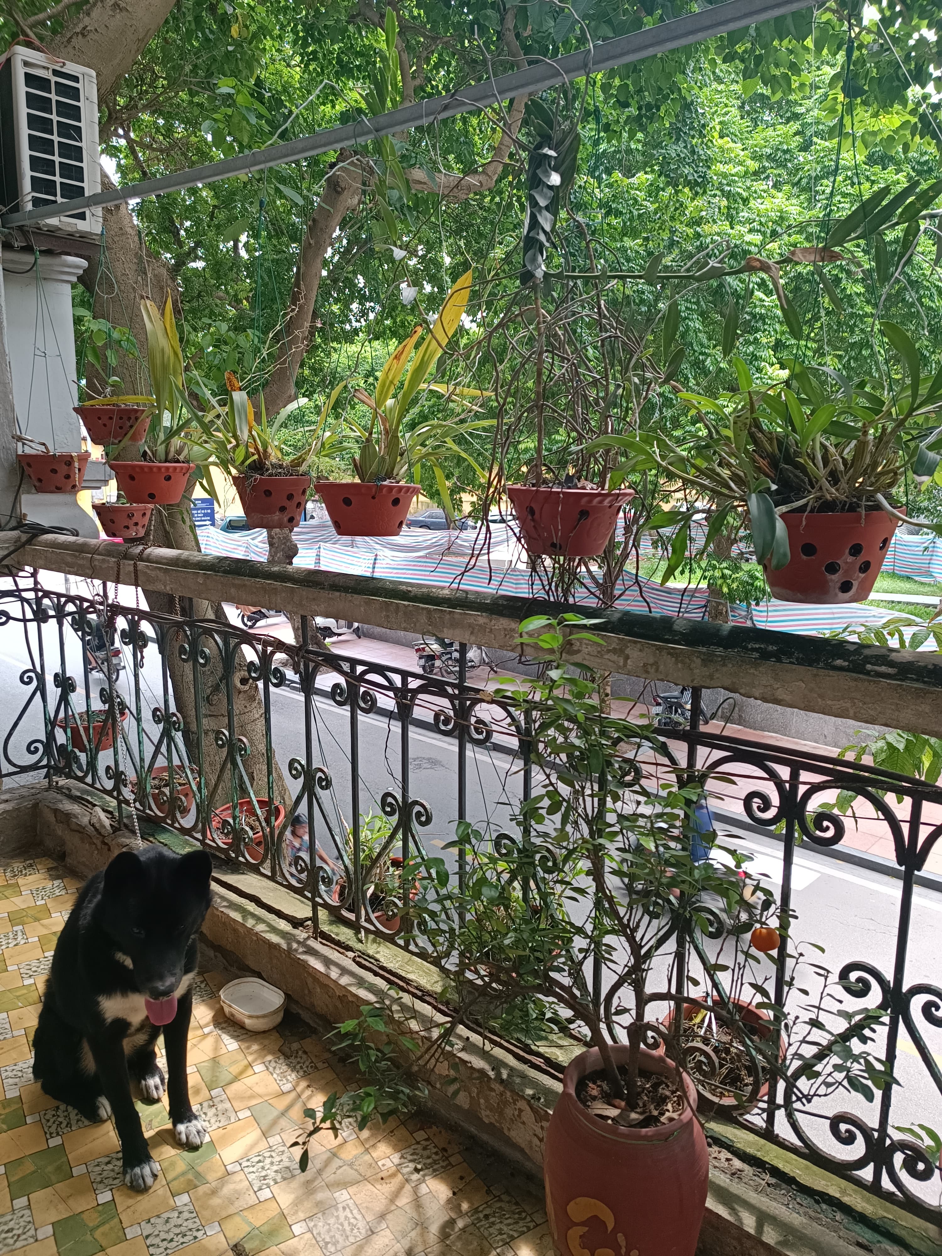 Nhà đất mặt phố, Ba Đình, Hà Nội - 43m² giá 8.95 tỷ