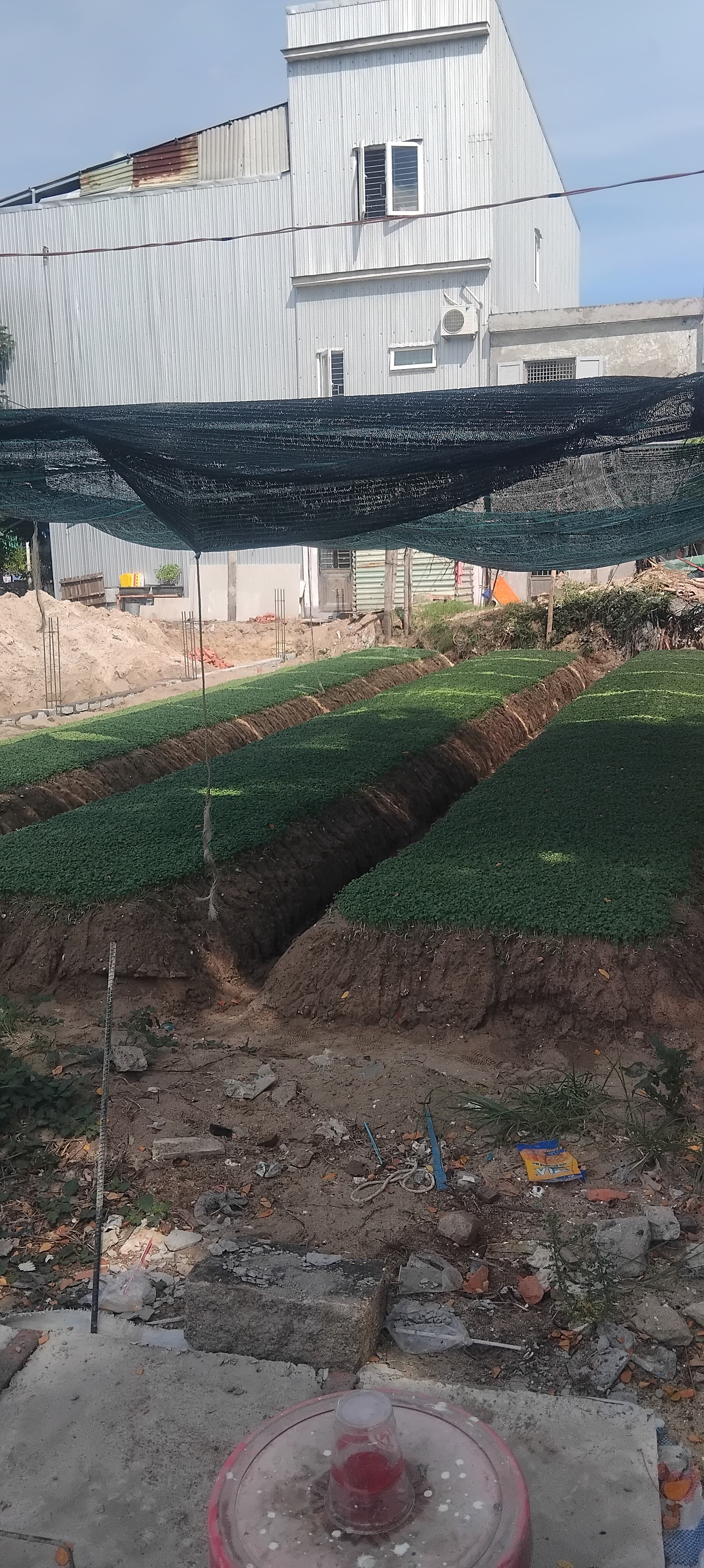 Nhà đất mặt phố, Sơn Trà, Đà Nẵng - 100m² giá 18 tỷ