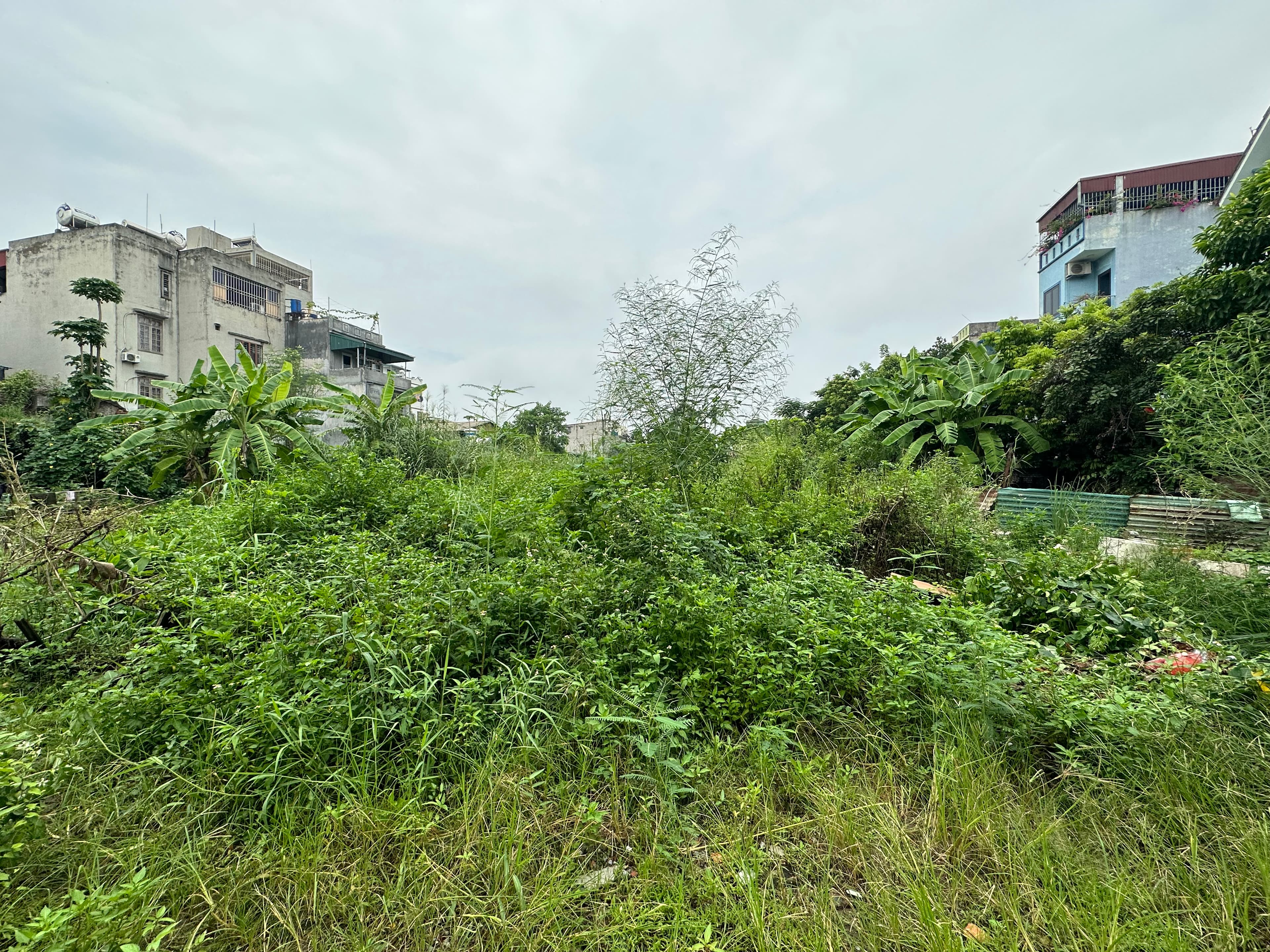 Nhà đất mặt phố, Thanh Trì, Hà Nội - 2830m² giá 54 tỷ