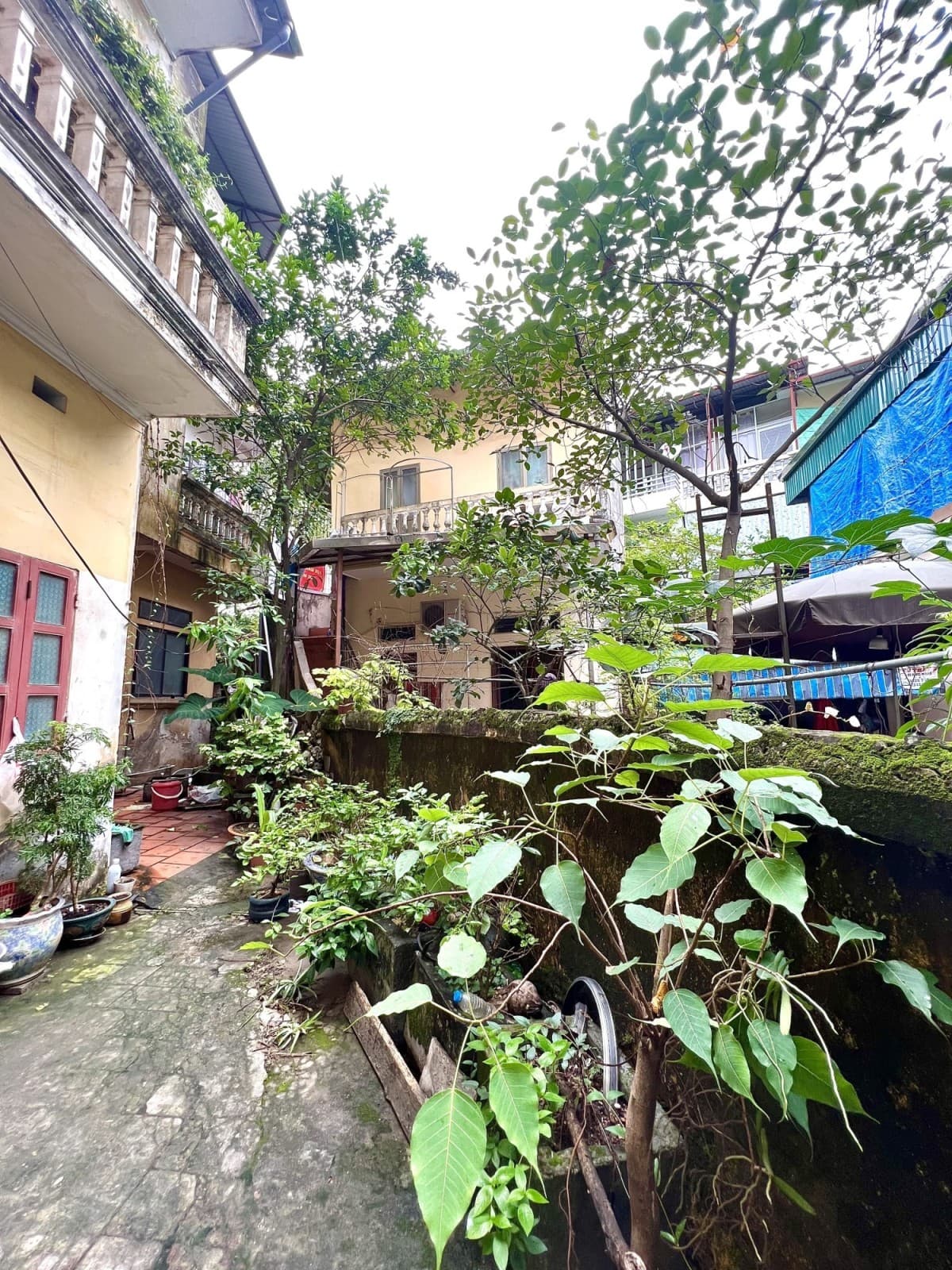 Nhà đất mặt phố, Ba Đình, Hà Nội - 81m² giá 13.85 tỷ