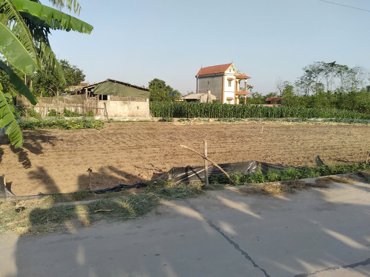 Nhà đất mặt phố Kim Động, Hưng Yên - 753m² giá 1, .5 tỷ