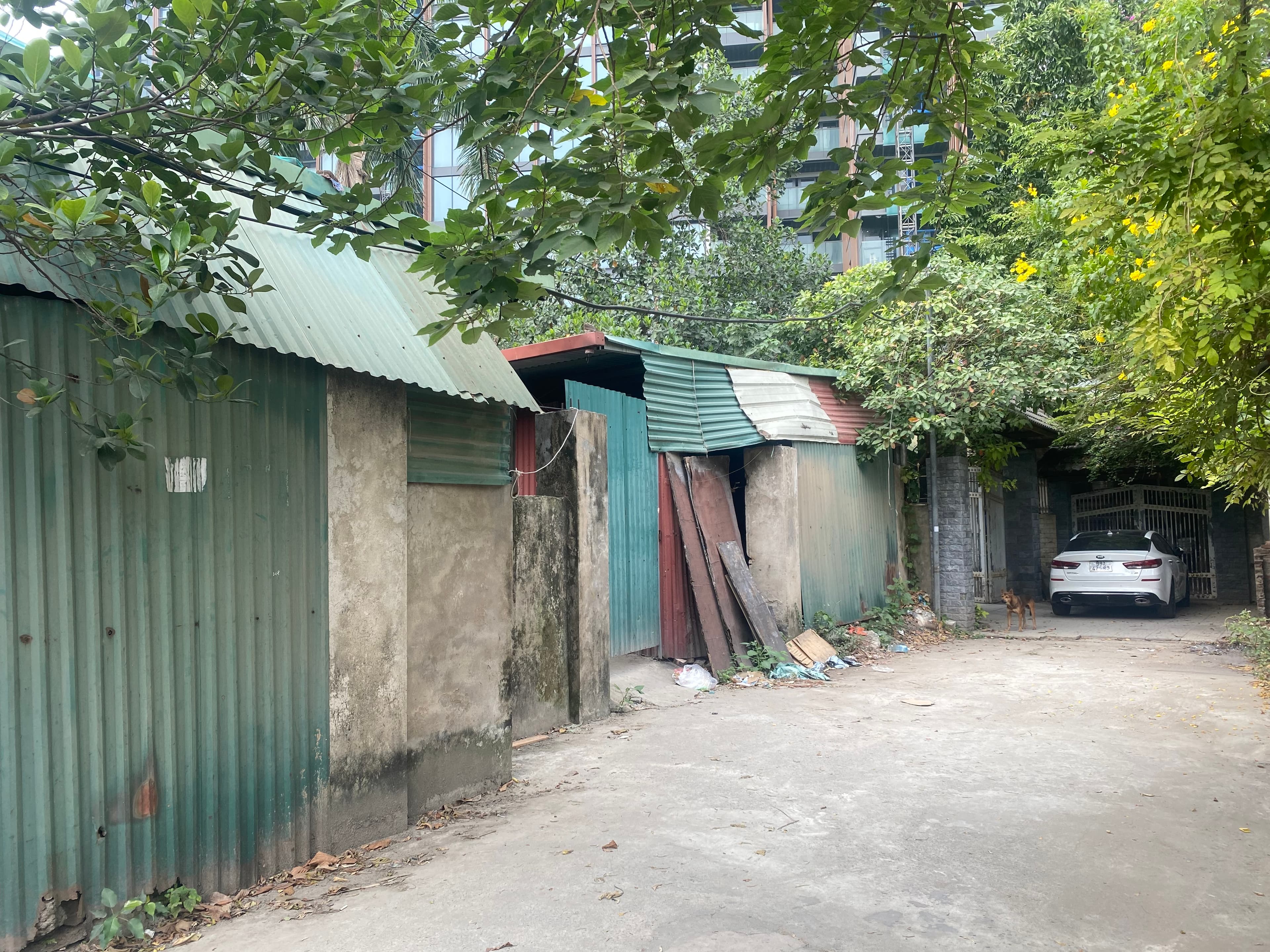 Nhà đất mặt phố, Tây Hồ, Hà Nội - 320m² giá 14.6 tỷ