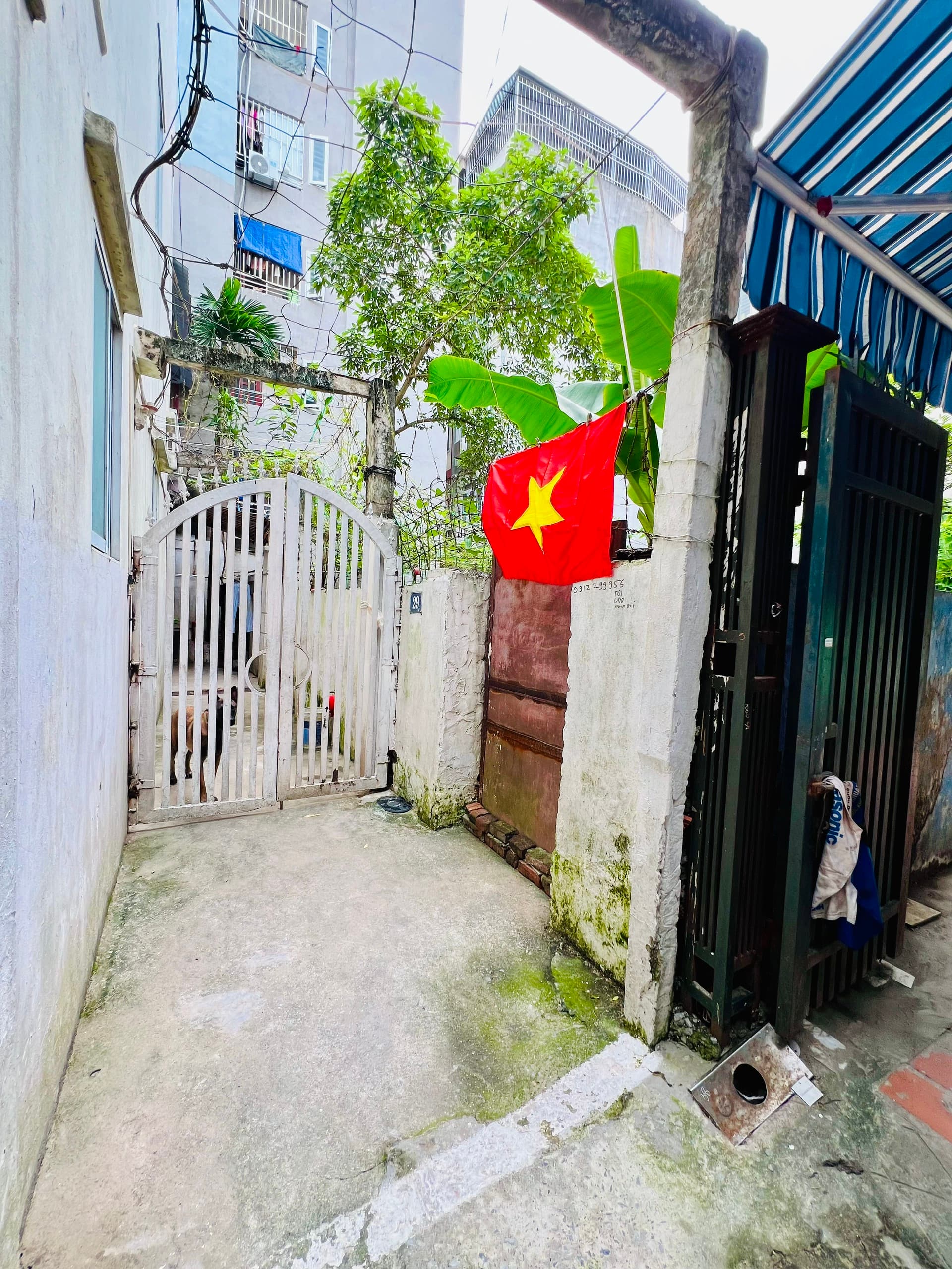 Nhà đất mặt phố, Ba Đình, Hà Nội - 81m² giá 10.5 tỷ