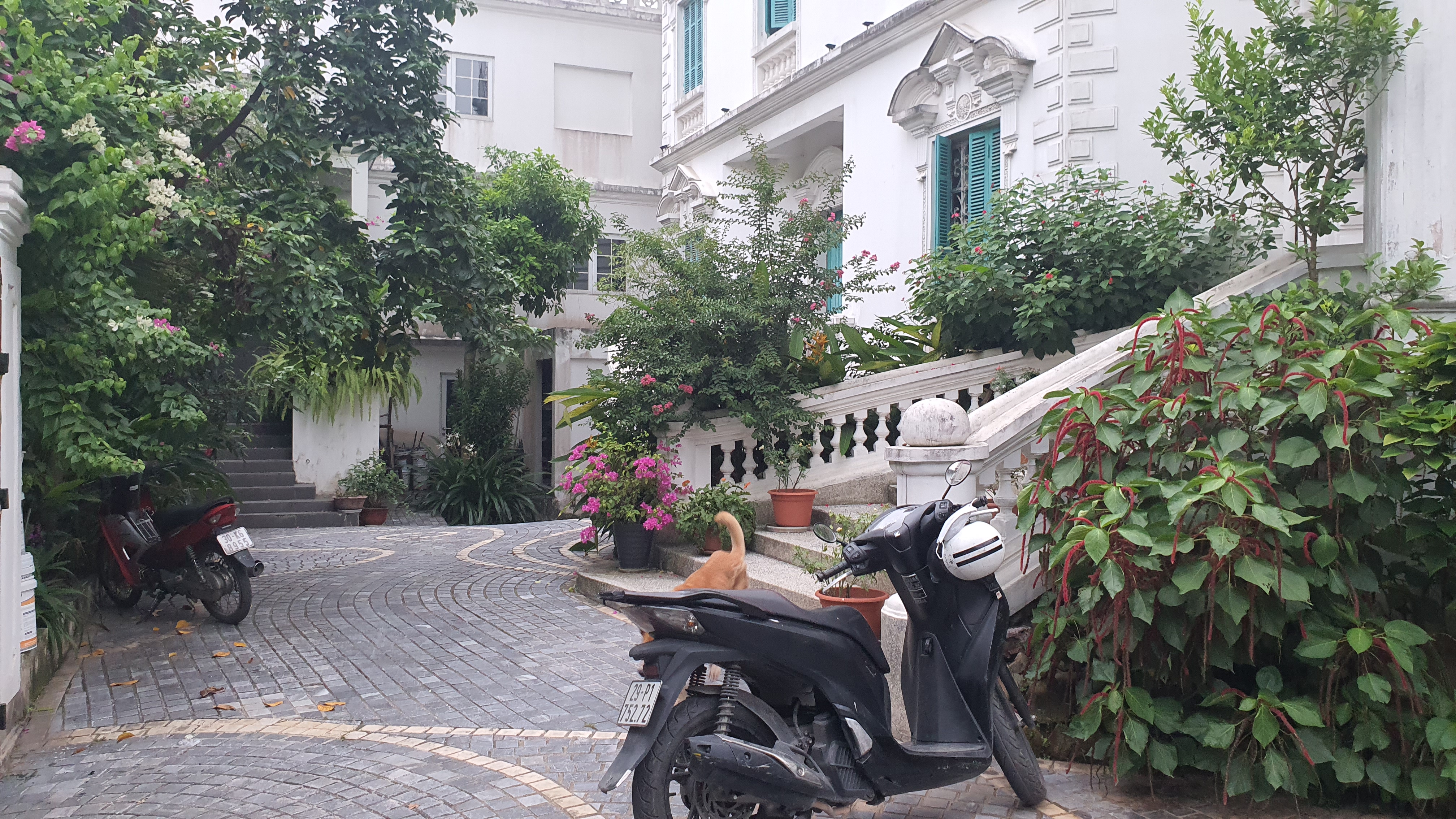 Nhà đất mặt phố, Long Biên, Hà Nội - 1330m² giá 165 tỷ