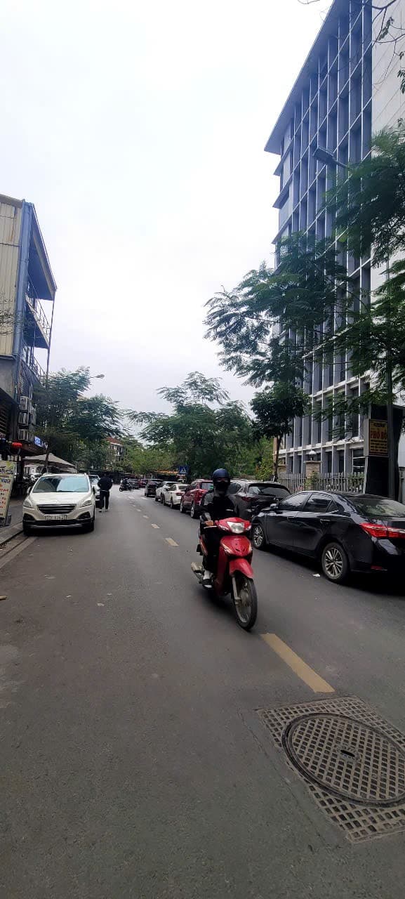 Nhà đất mặt phố, Cầu Giấy, Hà Nội - 100m² giá 46.8 tỷ