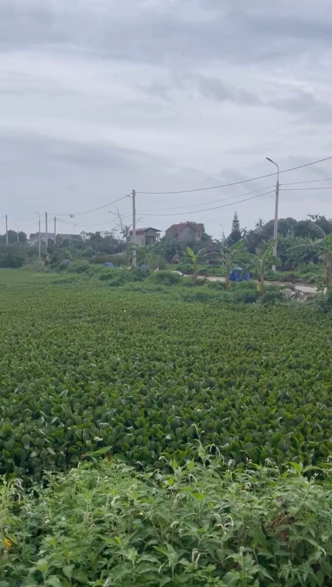 Nhà đất mặt phố Đông Sơn, Thanh Hóa - 199.5m² giá 1.25 tỷ