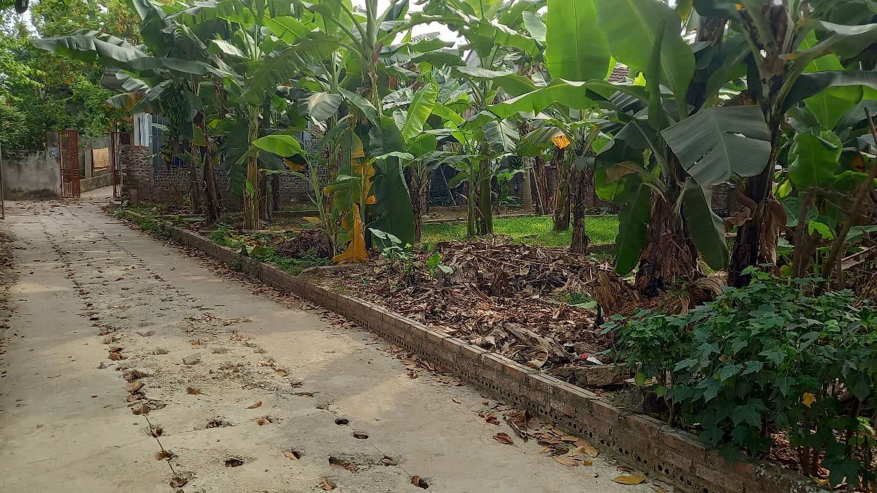 Nhà đất mặt phố Phúc Thọ, Hà Nội - 45m² giá 2 tỷ