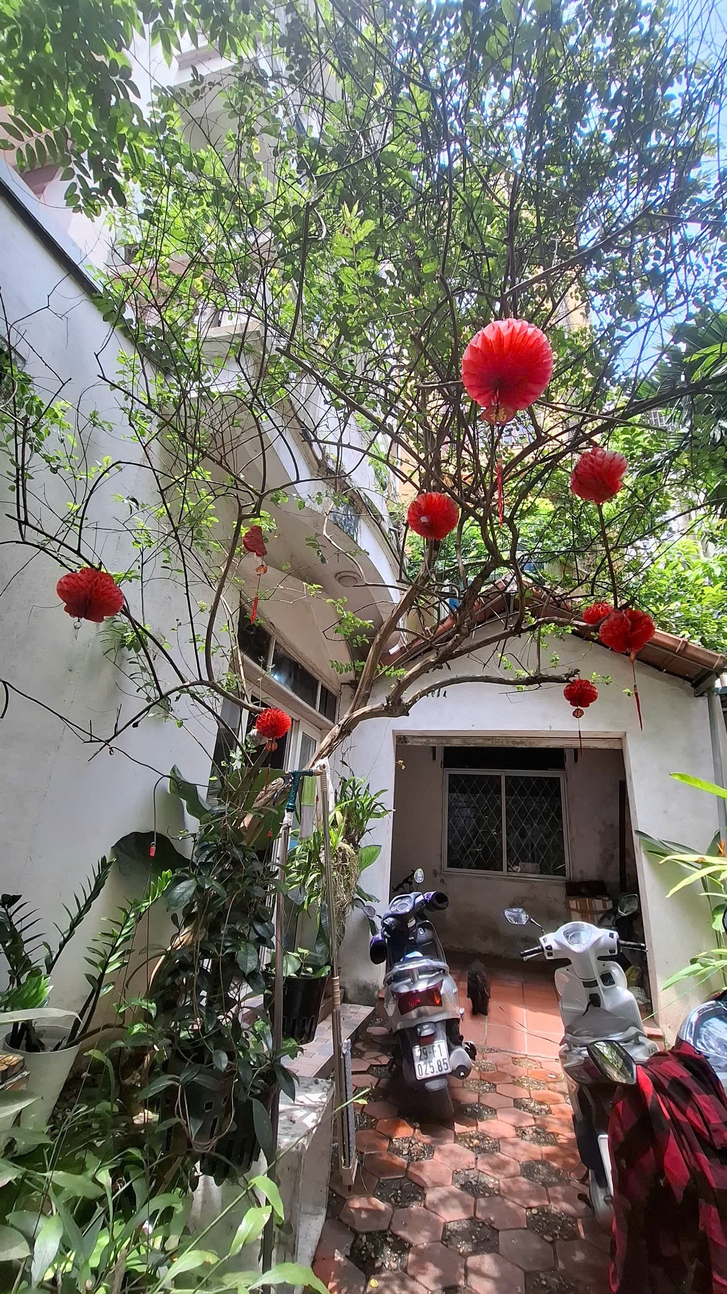 Nhà đất mặt phố, Tây Hồ, Hà Nội - 99m² giá 16.8 tỷ