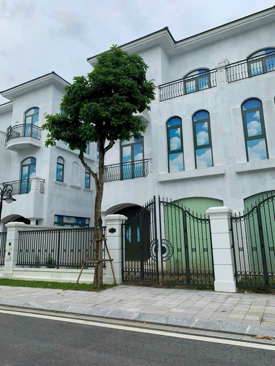 Nhà đất mặt phố Thanh Hóa, Thanh Hóa - 18, m² giá 16.9 tỷ