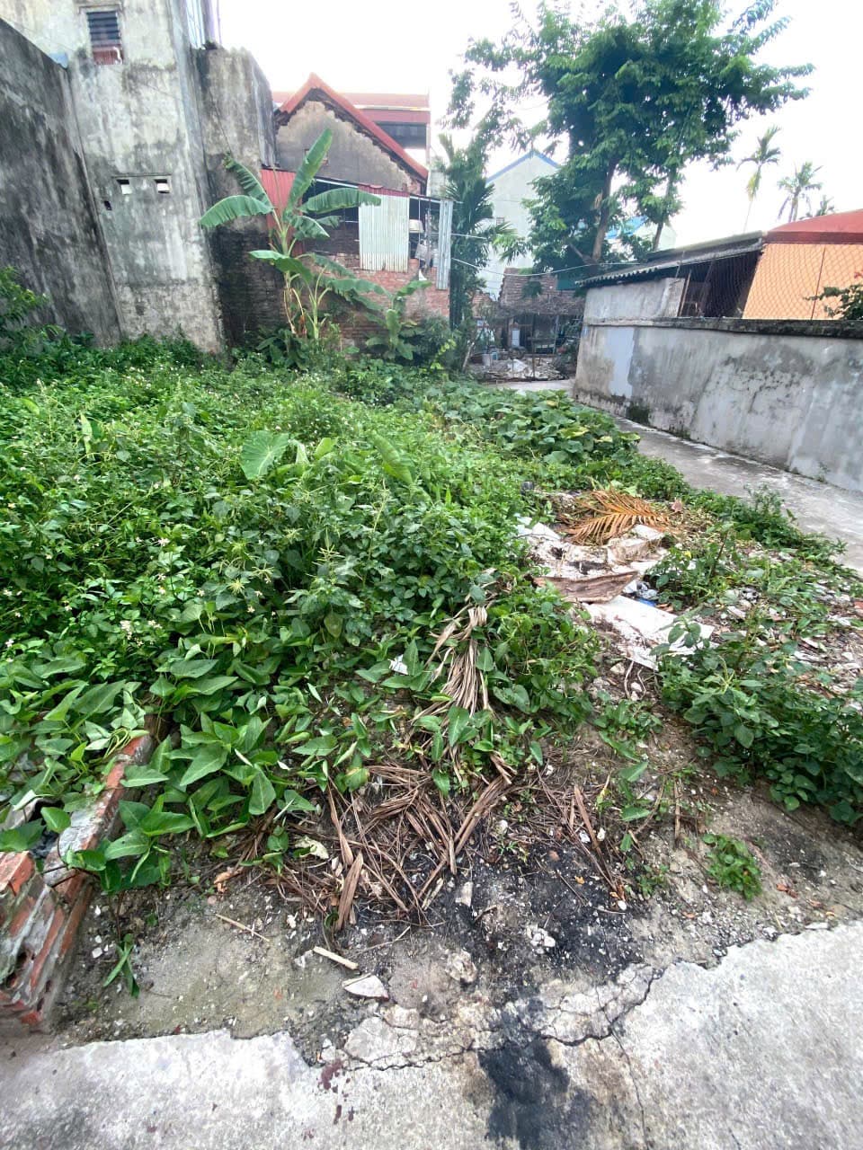 Nhà đất mặt phố Hà Đông, Hà Nội - 51m² giá 5.3 tỷ