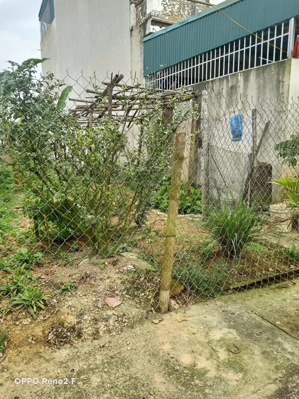 Nhà đất mặt phố, Đông Sơn, Thanh Hóa - 125m² giá 1.5 tỷ