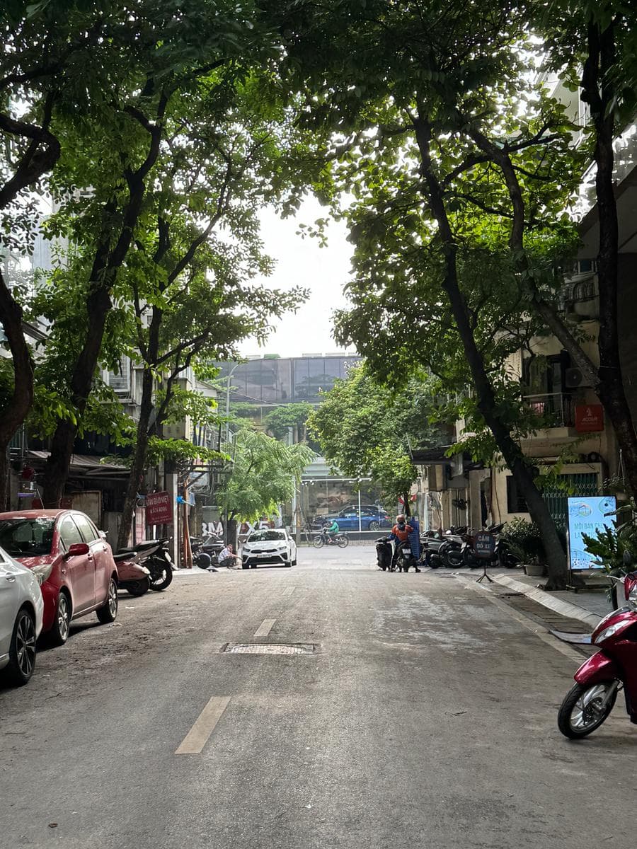 Nhà đất mặt phố, Hai Bà Trưng, Hà Nội - 141m² giá 106 tỷ
