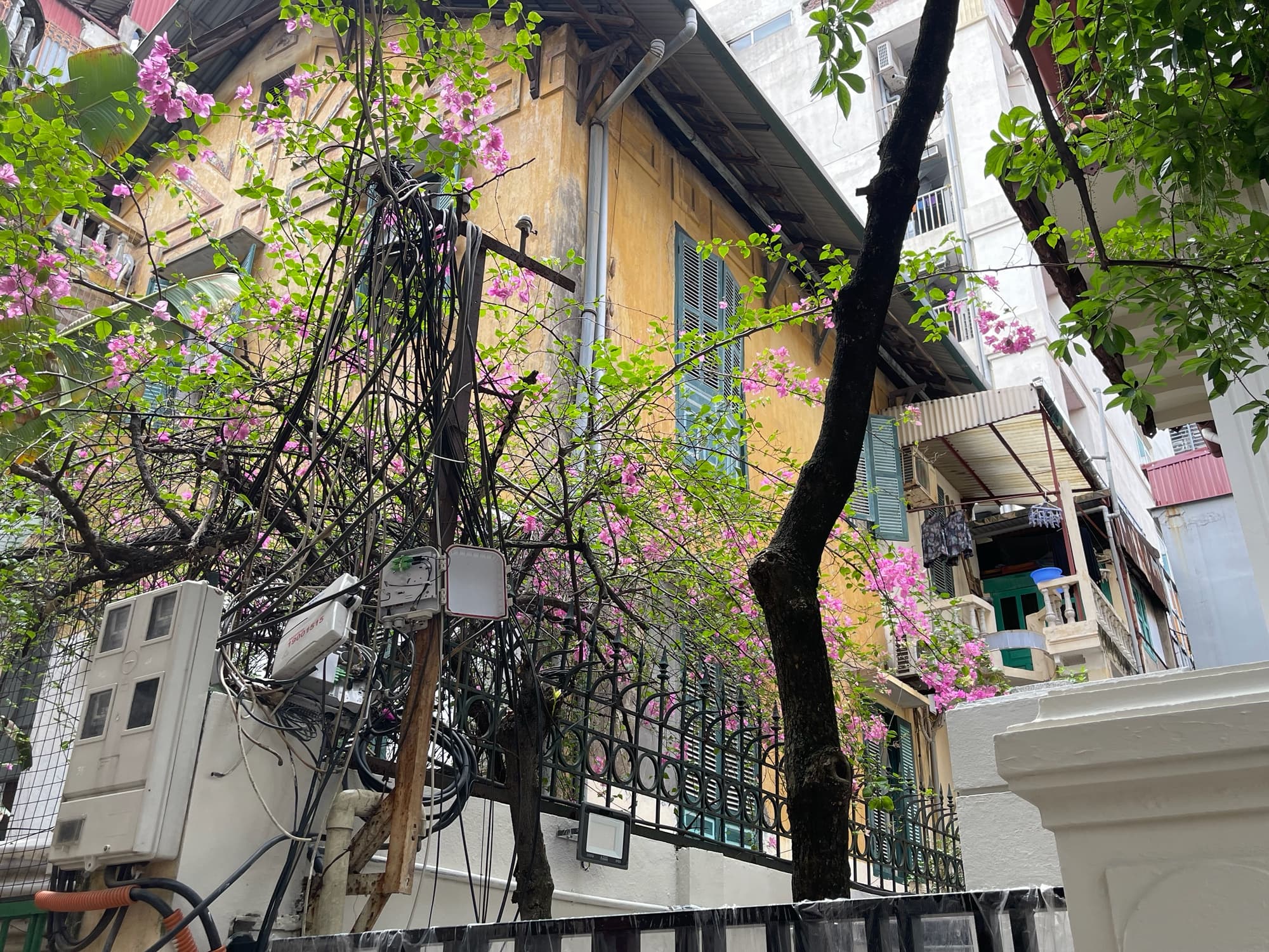 Nhà đất mặt phố, Hoàn Kiếm, Hà Nội - 247m² giá 96 tỷ