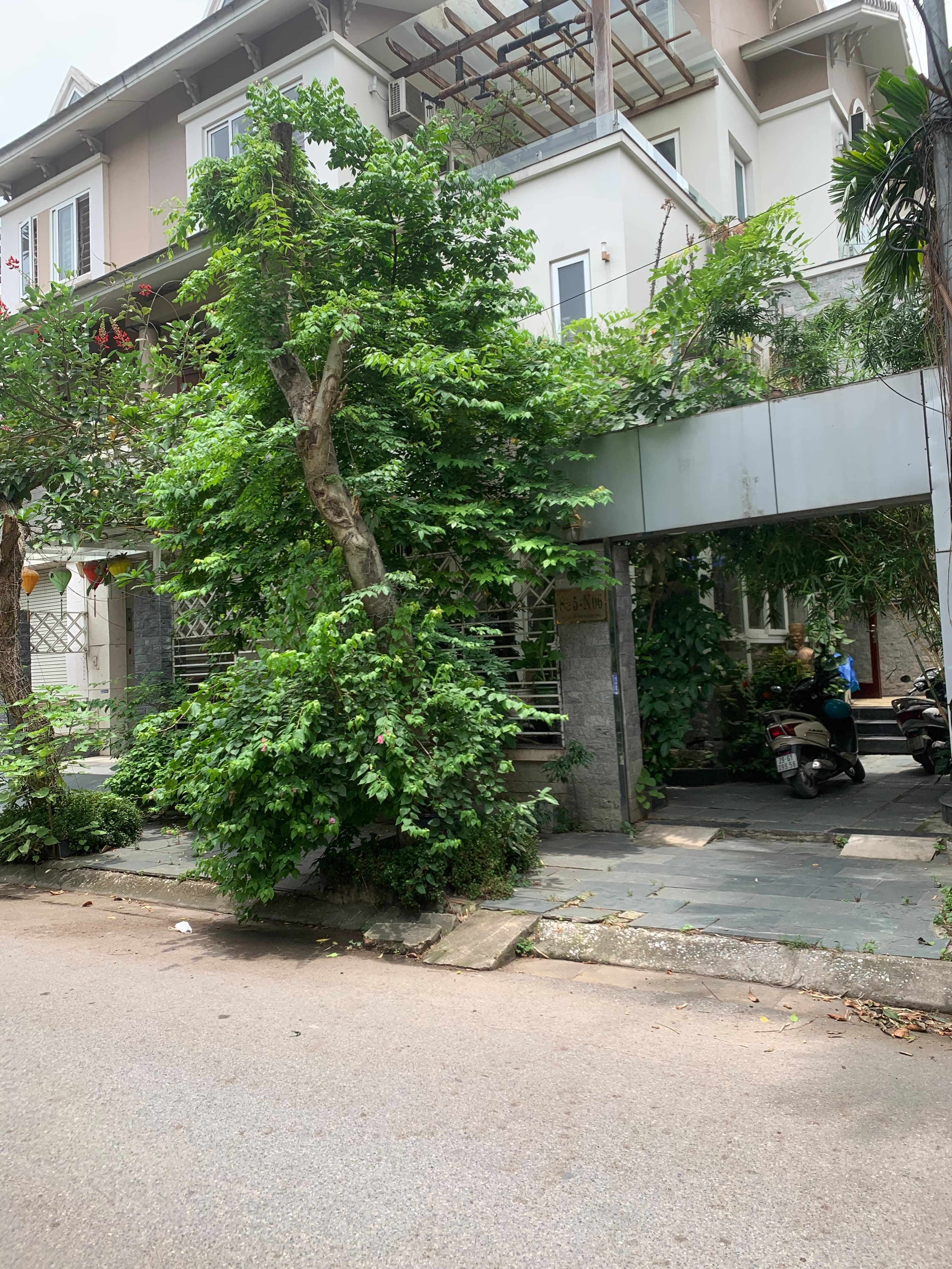 Nhà đất mặt phố, Long Biên, Hà Nội - 179m² giá 52 tỷ