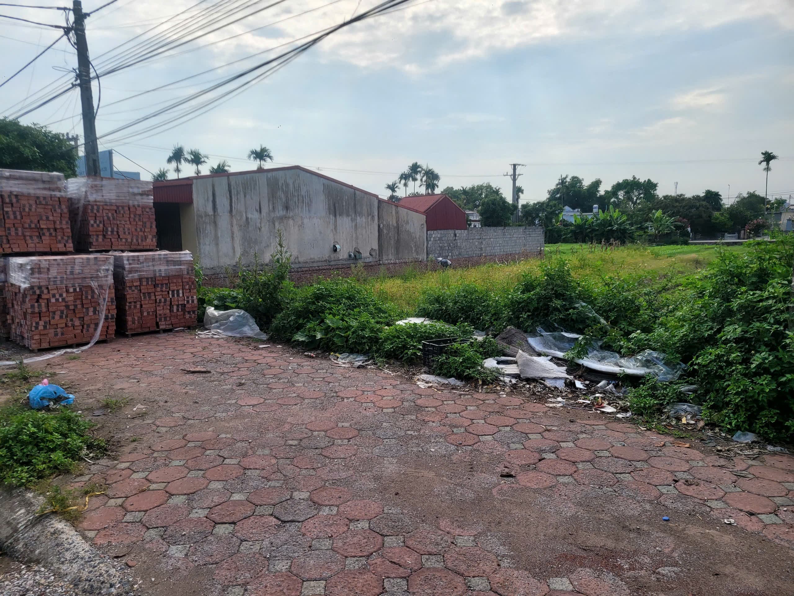 Nhà đất mặt phố, Thái Thụy, Thái Bình - 202.6m² giá 3.6 tỷ