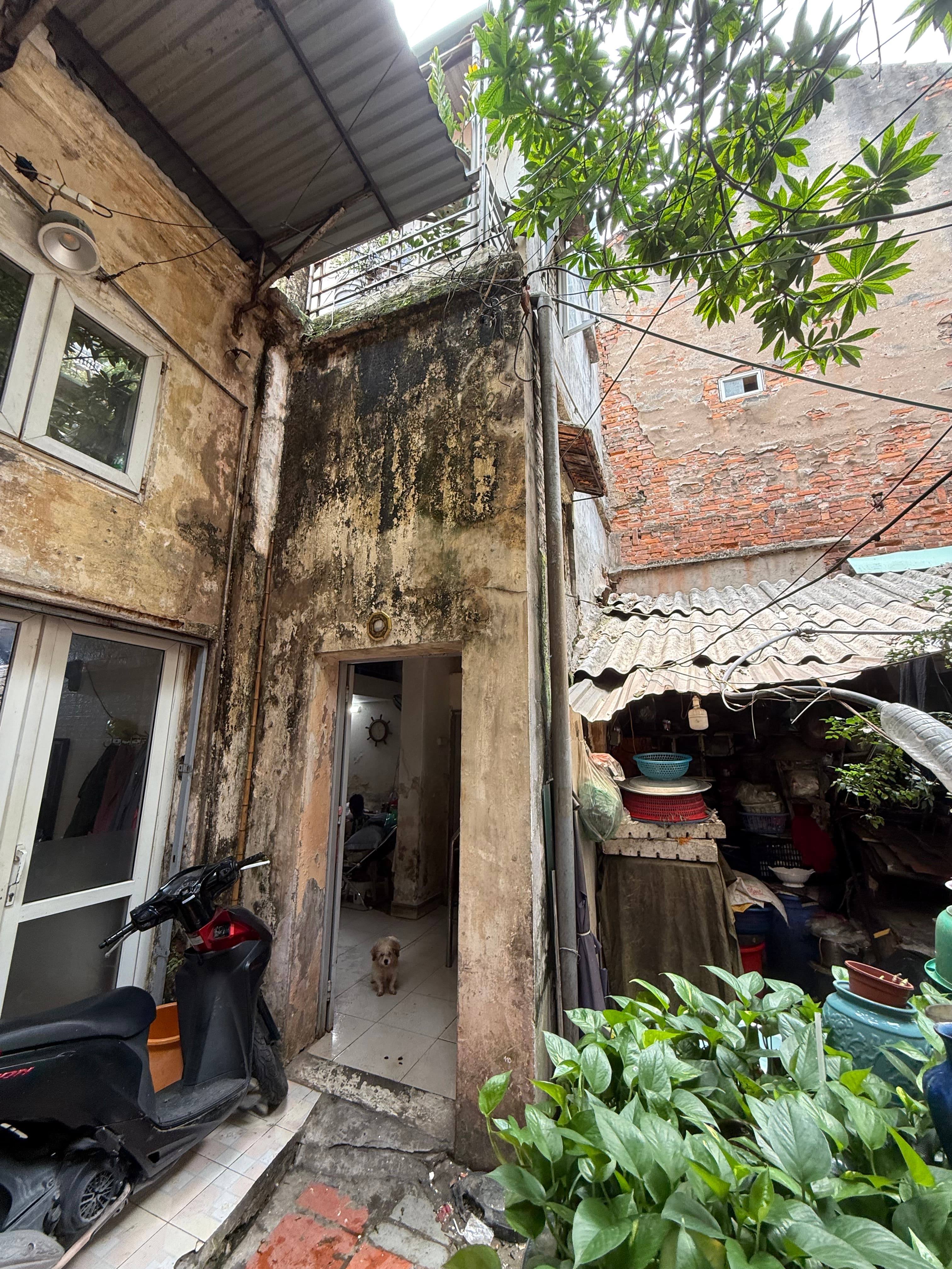Nhà đất mặt phố, Hai Bà Trưng, Hà Nội - 28m² giá 5.5 tỷ