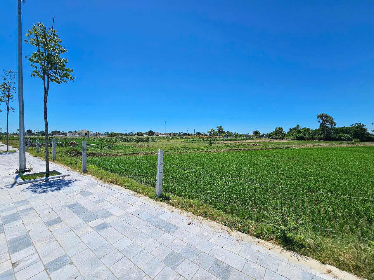 Nhà đất mặt phố, Quảng Xương, Thanh Hóa - 25458m² giá 5.5 tỷ