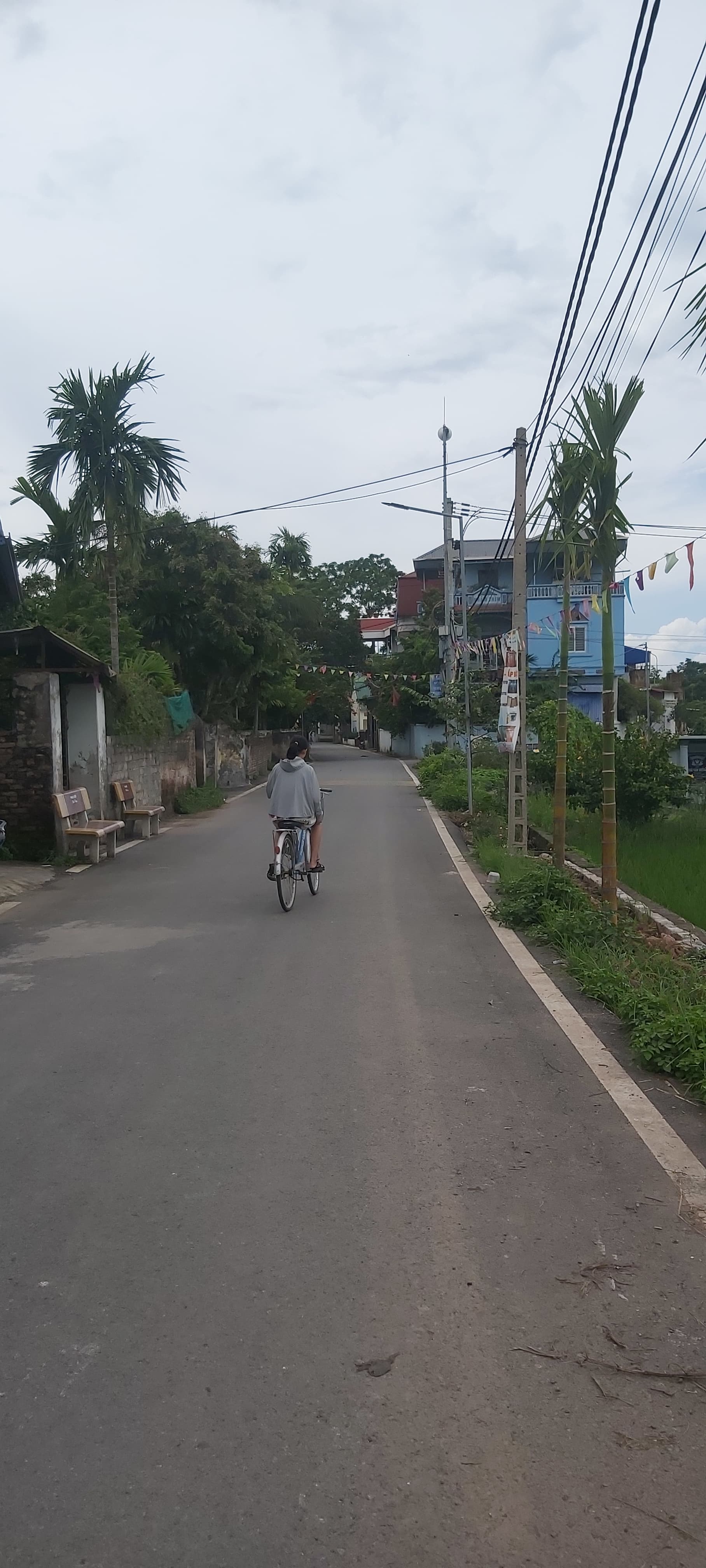 Nhà đất mặt phố, Ứng Hòa, Hà Nội - 138m² giá 2.95 tỷ
