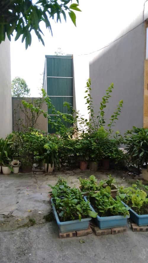 Nhà đất mặt phố, Hà Đông, Hà Nội - 45.8m² giá 15.2 tỷ