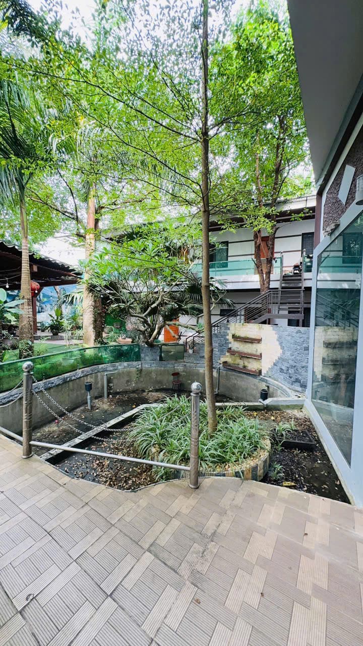 Nhà đất mặt phố, Hạ Hoà, Phú Thọ - 1001m² giá 9.7 tỷ