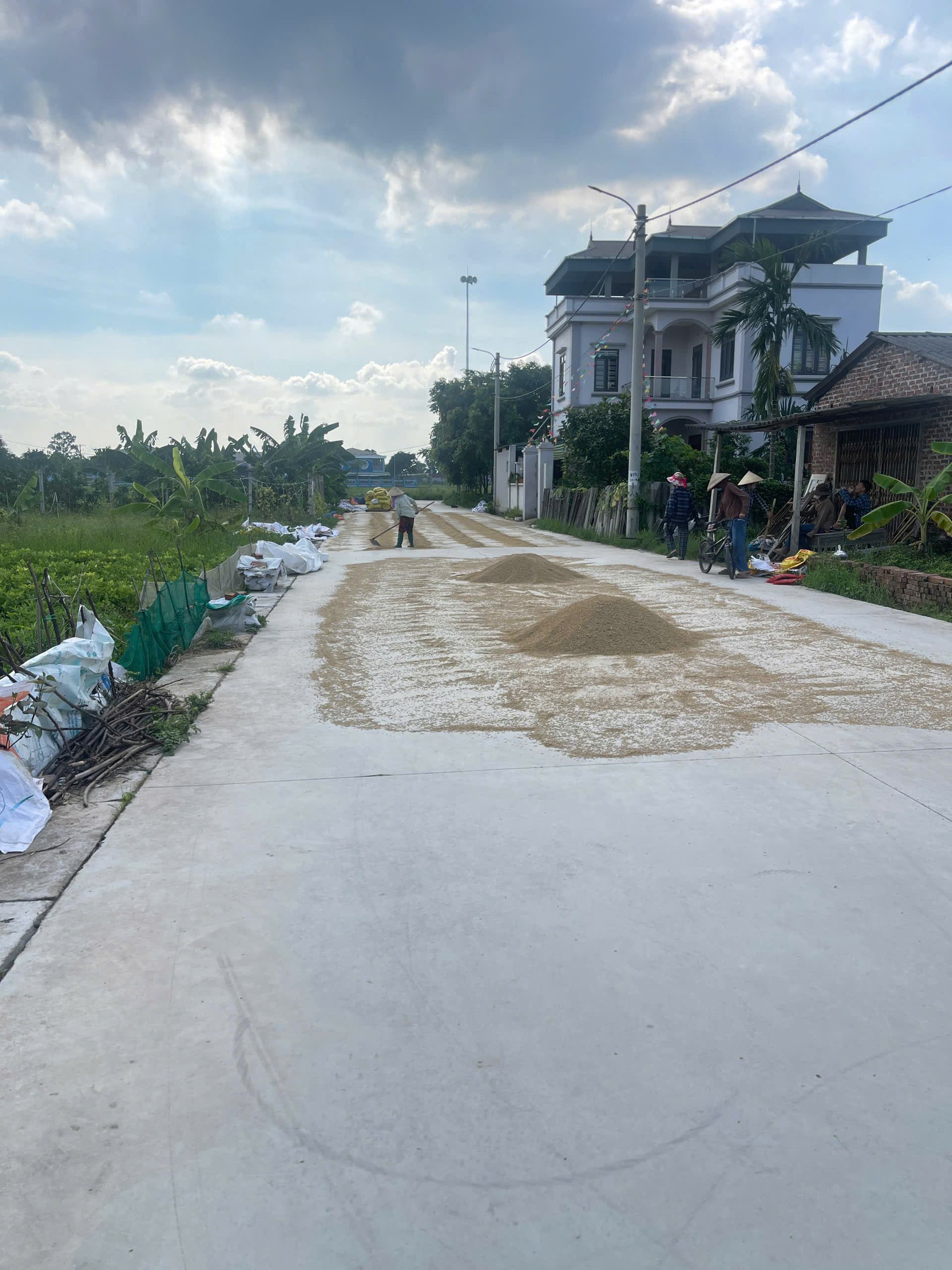 Nhà đất mặt phố Đông Anh, Hà Nội - 12, m² giá 8.4 tỷ