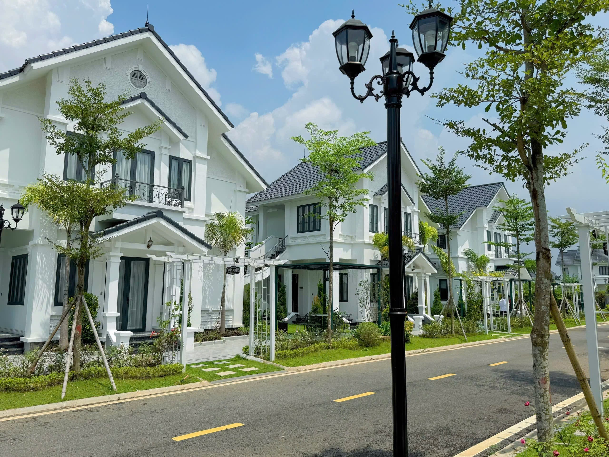 Dự án mặt phố, Thanh Thuỷ, Phú Thọ - 319m² giá 9.8 tỷ