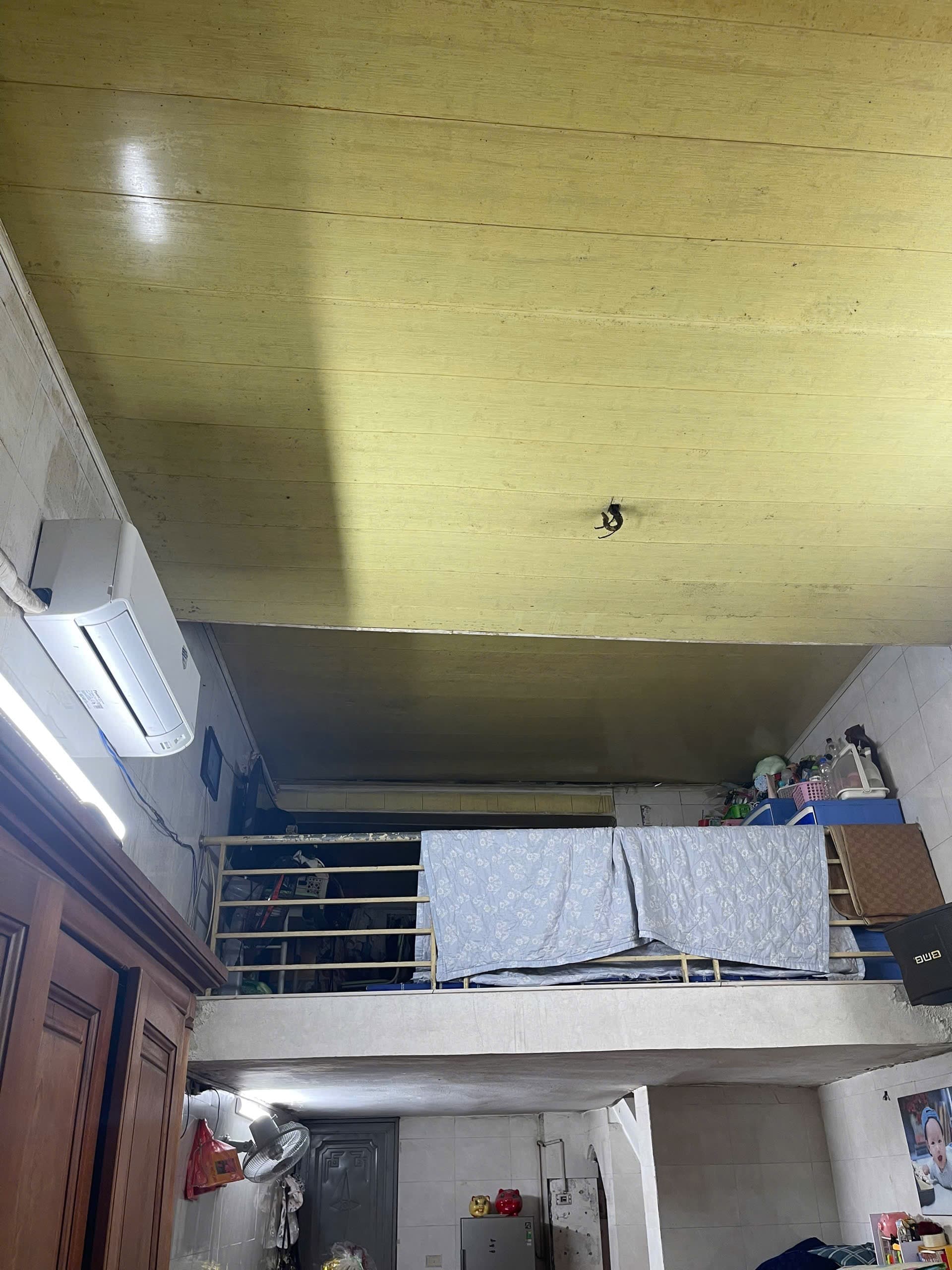 Nhà đất mặt phố, Hoàn Kiếm, Hà Nội - 30m² giá 4 tỷ