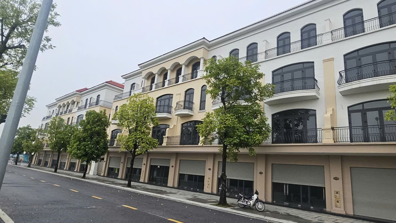 Nhà đất mặt phố, Văn Giang, Hưng Yên - 80m² giá 12.5 tỷ