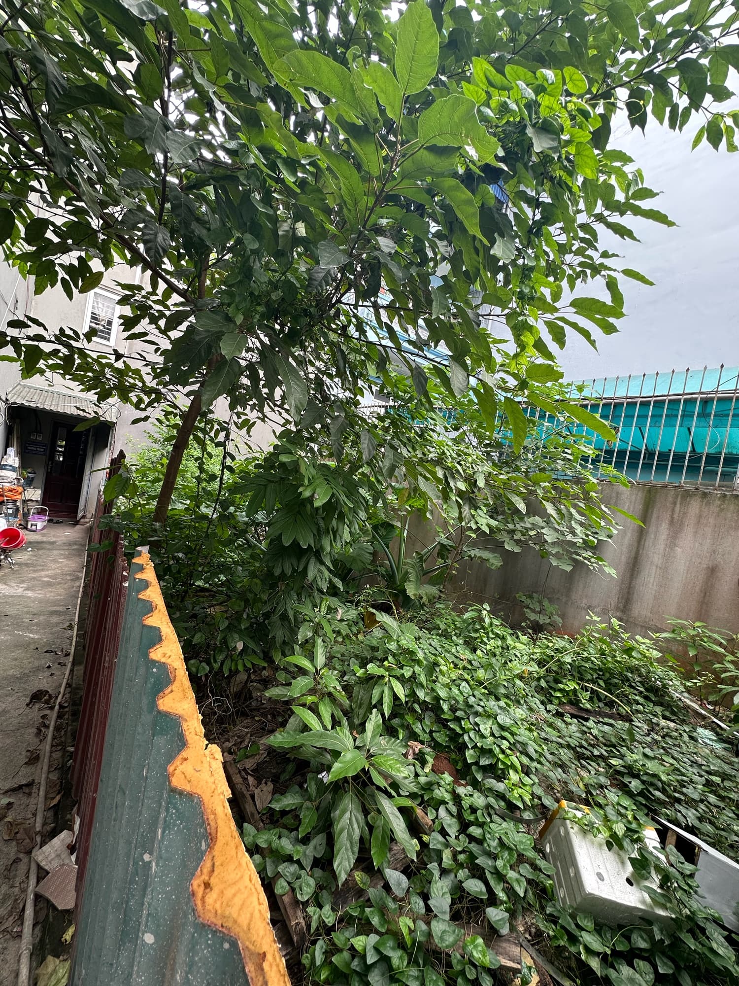 Nhà đất mặt phố, Long Biên, Hà Nội - 91m² giá 18.5 tỷ