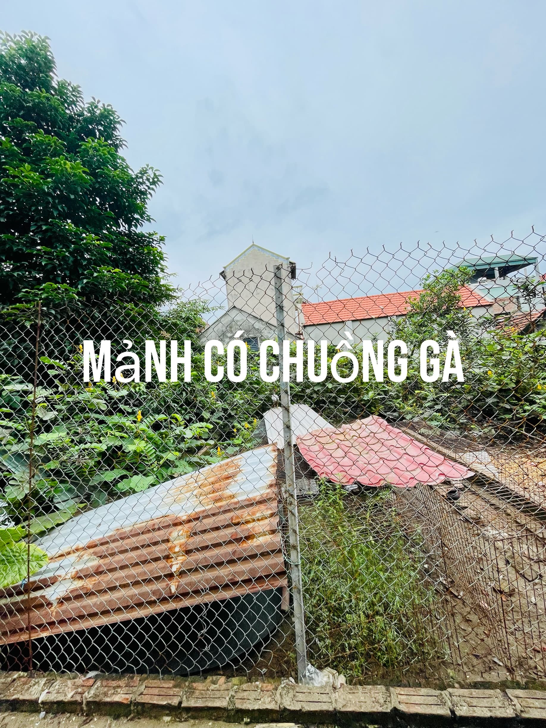 Nhà đất mặt phố, Hoài Đức, Hà Nội - 55.5m² giá 4.98 tỷ