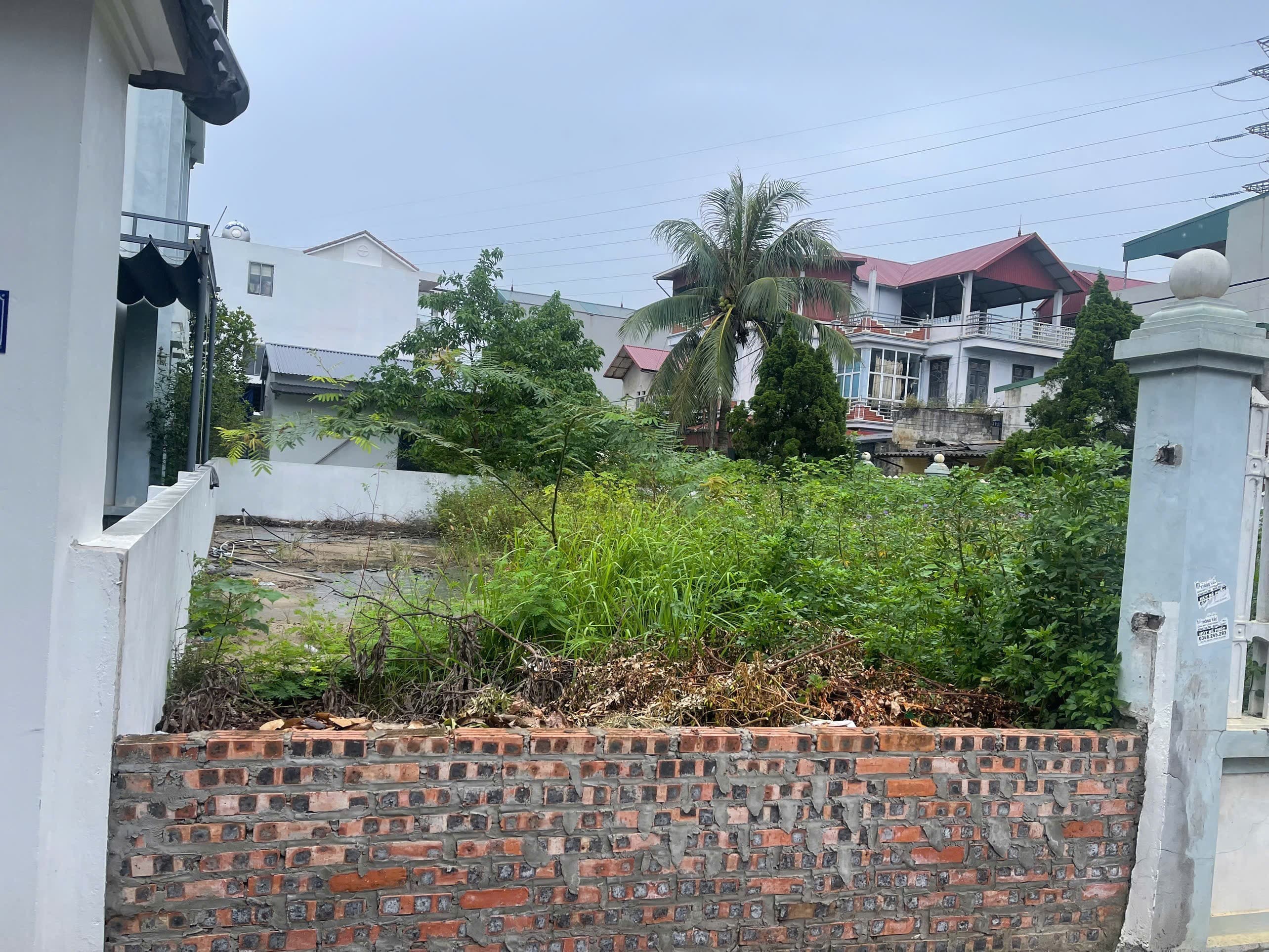 Nhà đất mặt phố, Đông Anh, Hà Nội - 121m² giá 15.5 tỷ