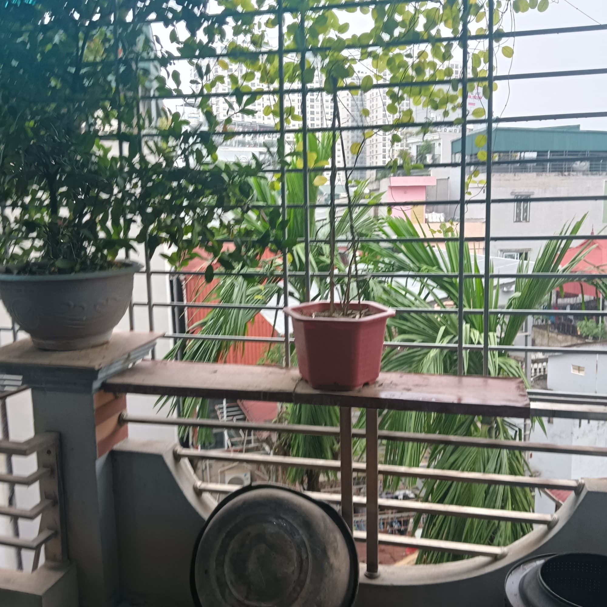 Nhà đất mặt phố, Hai Bà Trưng, Hà Nội - 44m² giá 14 tỷ