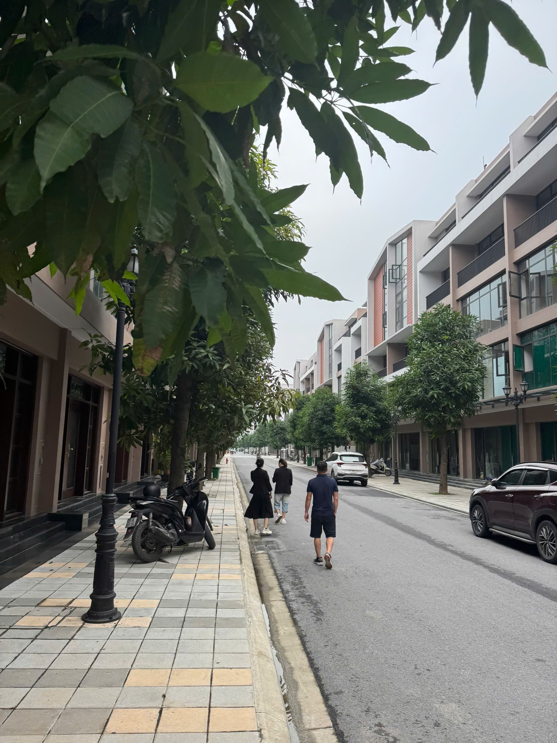 Nhà đất The Crown - Vinhomes Ocean Park 3 -, - 78m² giá 13.6 tỷ