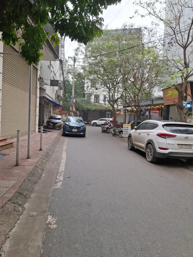 Nhà đất mặt phố, Thanh Trì, Hà Nội - 50m² giá 13.3 tỷ