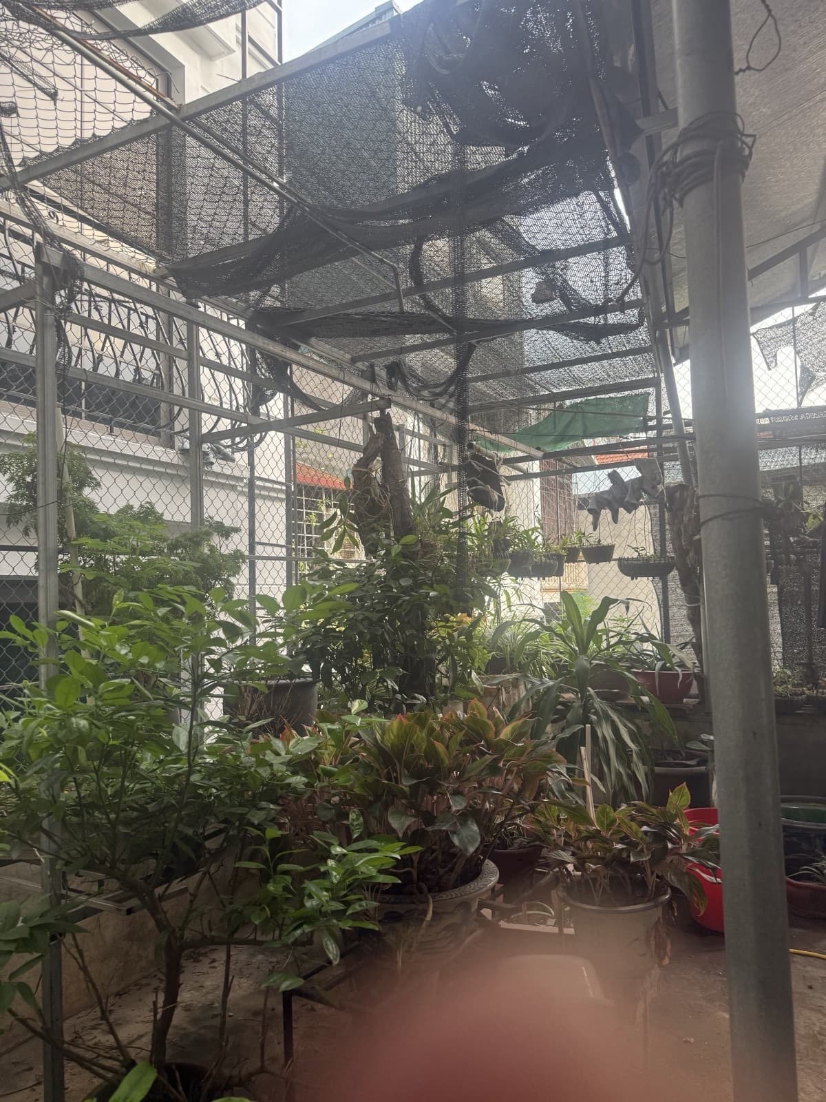 Nhà đất mặt phố, Nam Từ Liêm, Hà Nội - 58m² giá 12.2 tỷ