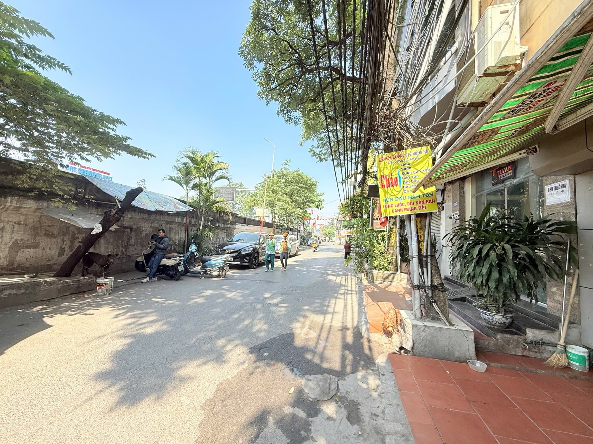 Nhà đất mặt phố, Hoàn Kiếm, Hà Nội - 40m² giá 12.4 tỷ