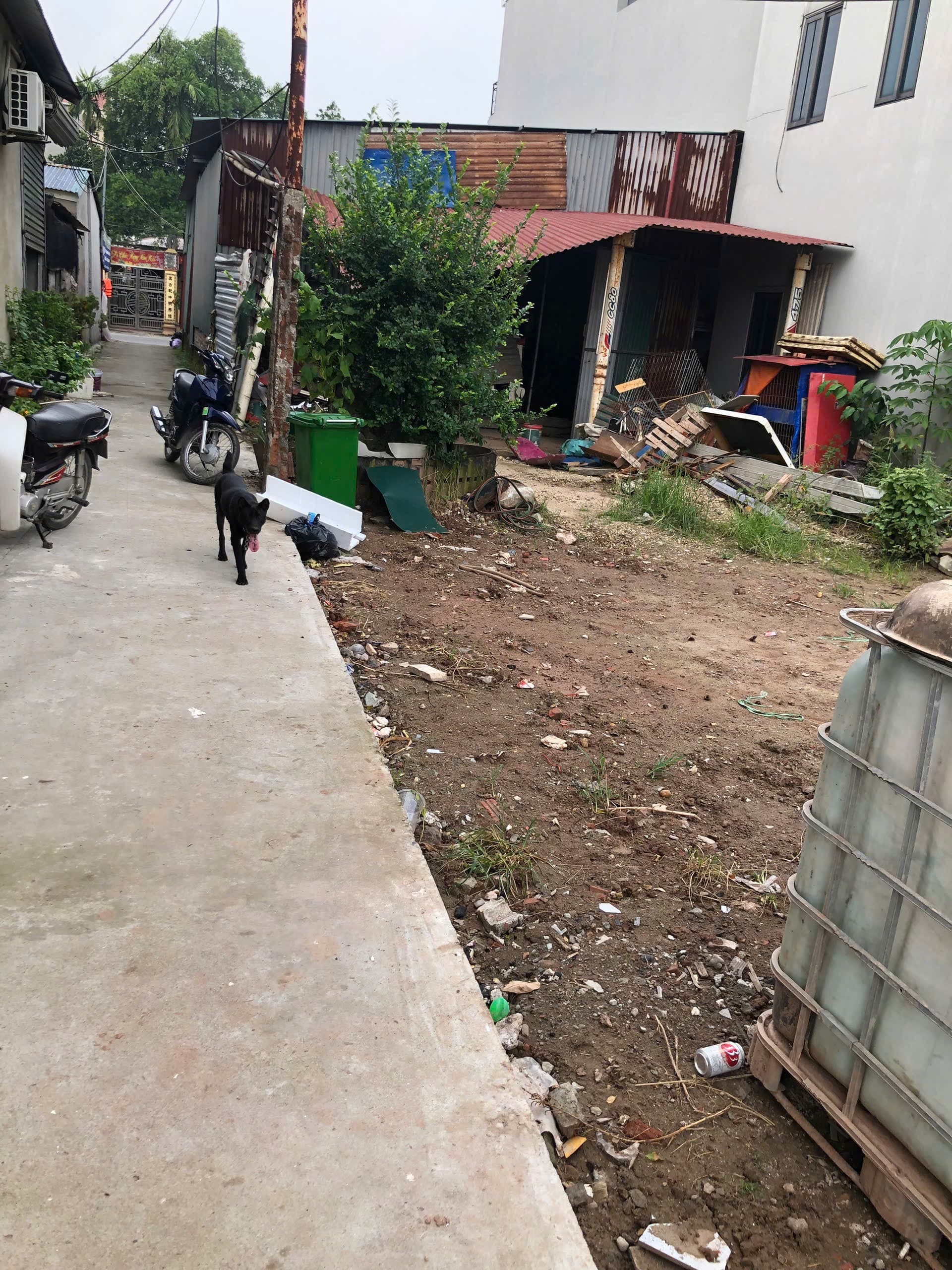 Nhà đất mặt phố Đan Phượng, Hà Nội - 53m² giá 3.3 tỷ