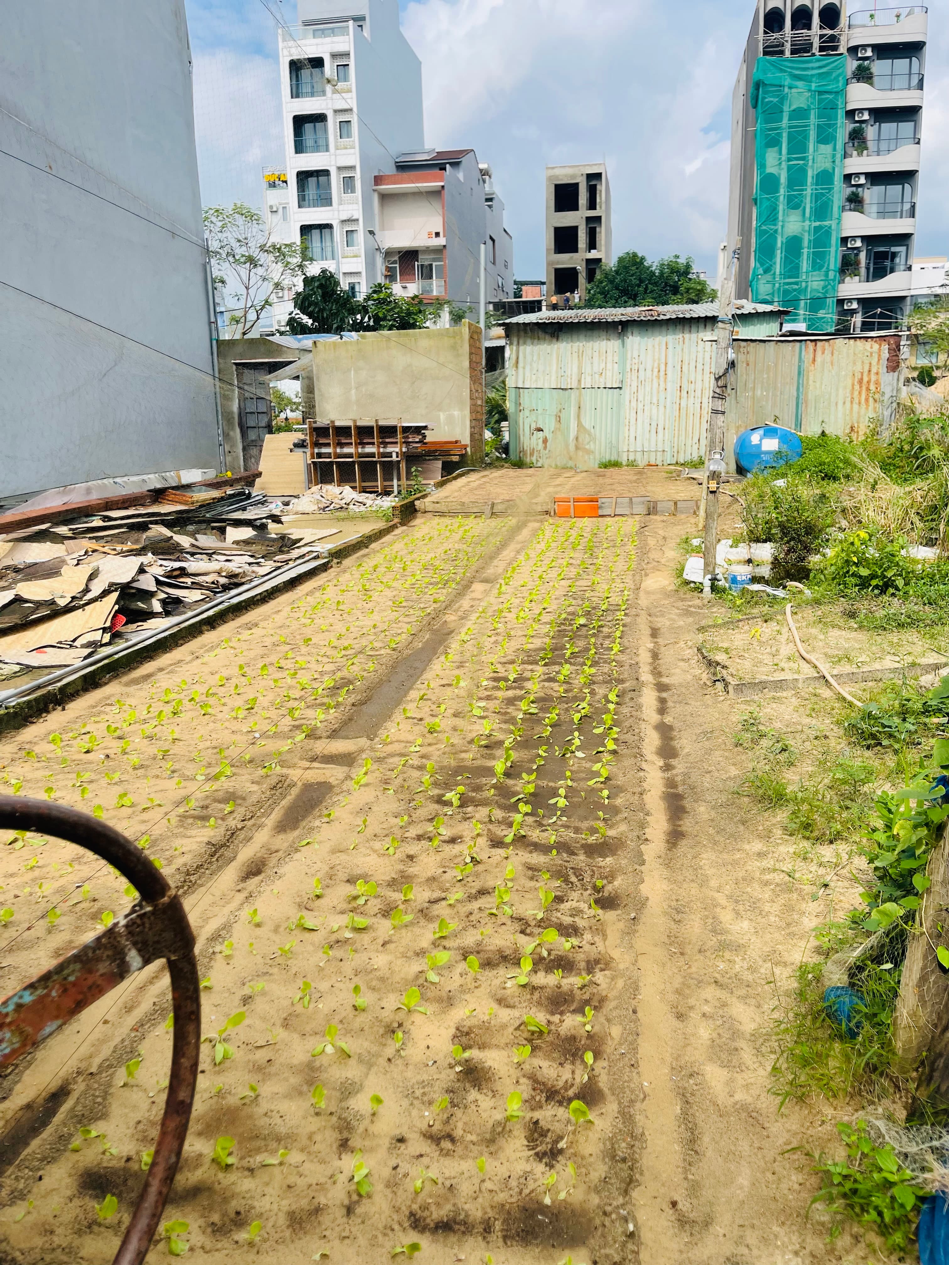 Nhà đất mặt phố, Sơn Trà, Đà Nẵng - 90m² giá 15.5 tỷ