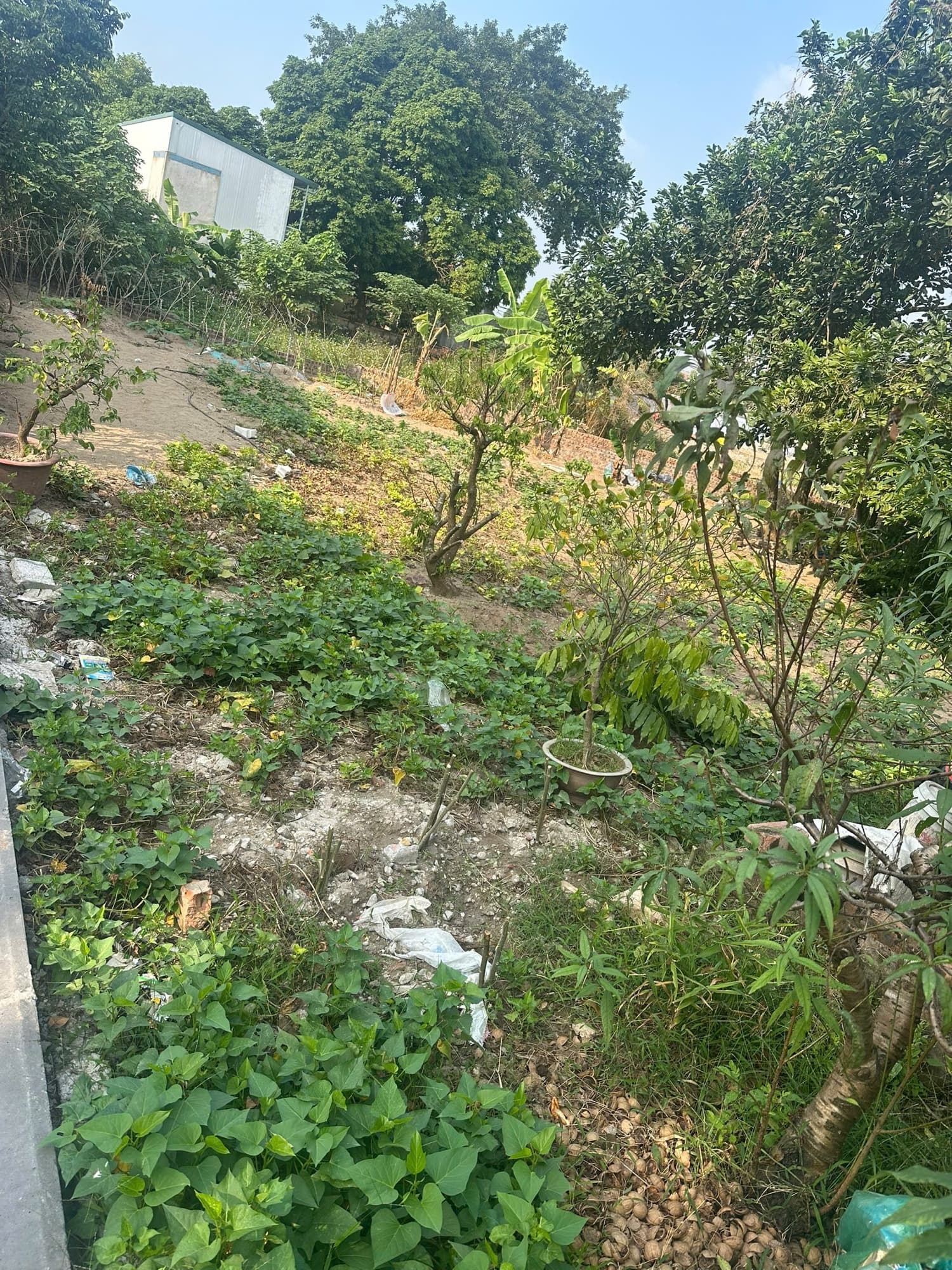 Nhà đất mặt phố, Đông Anh, Hà Nội - 110m² giá 8.5 tỷ