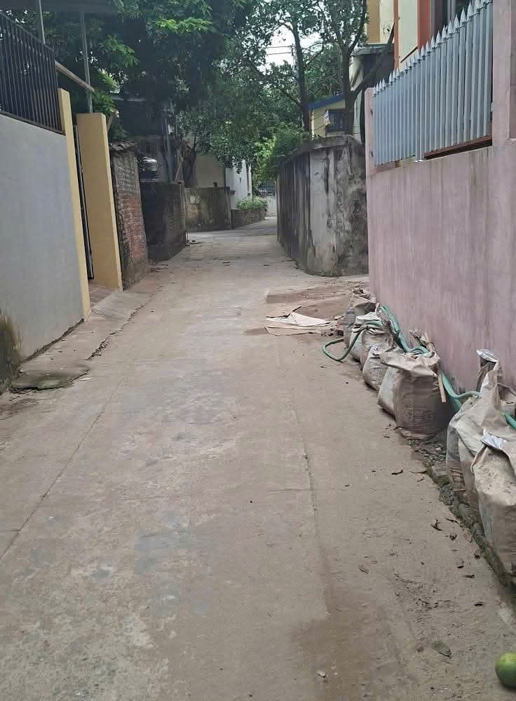 Nhà đất mặt phố, Thanh Trì, Hà Nội - 50m² giá 3.95 tỷ