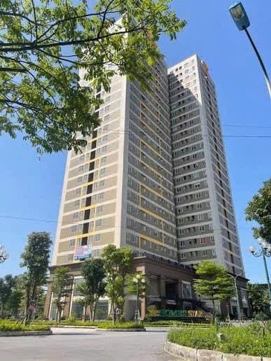 Căn hộ mặt phố, Hoài Đức, Hà Nội - 86m² giá 5.92 tỷ