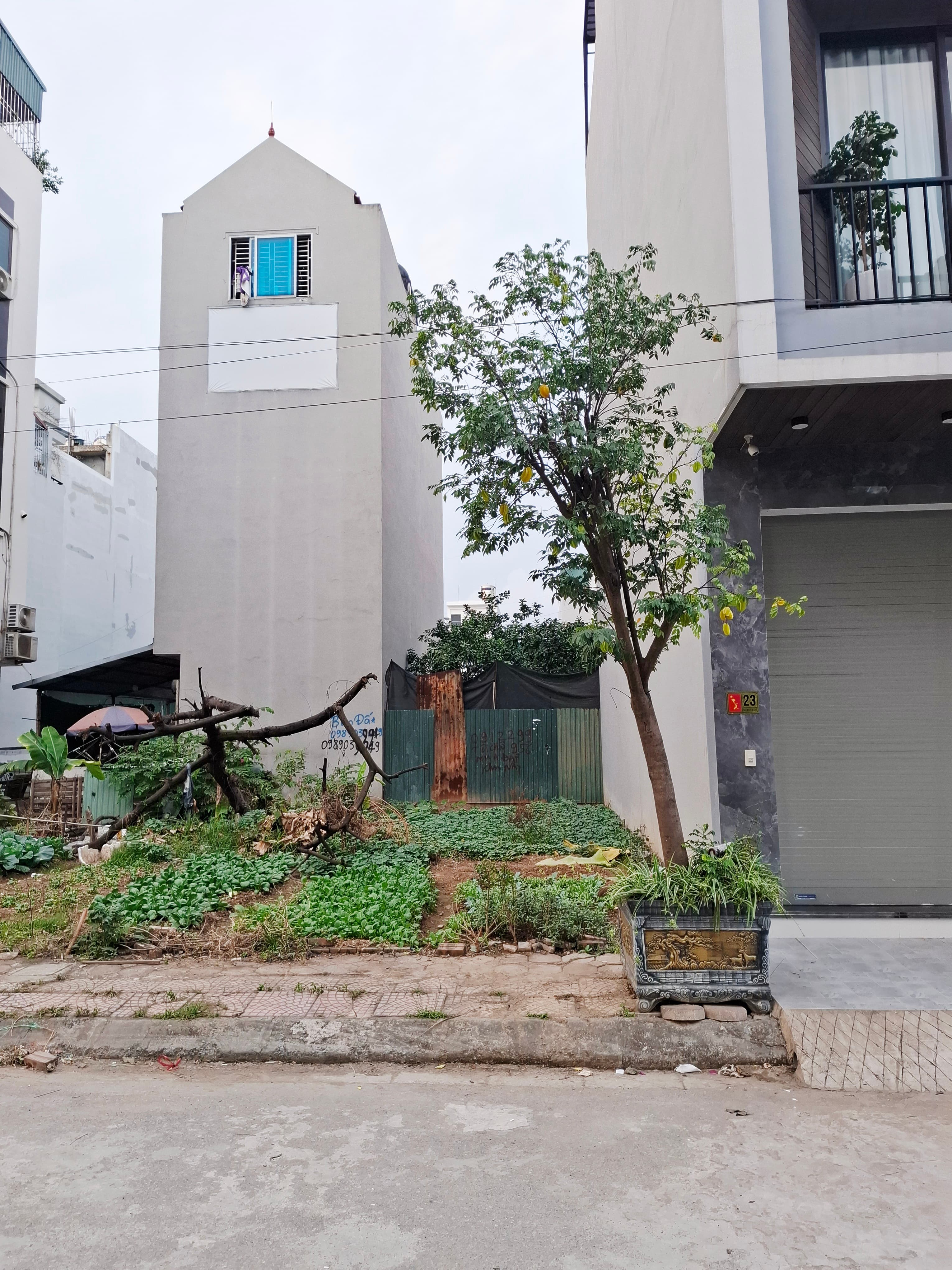 Nhà đất mặt phố, Hoài Đức, Hà Nội - 48.8m² giá 9.9 tỷ