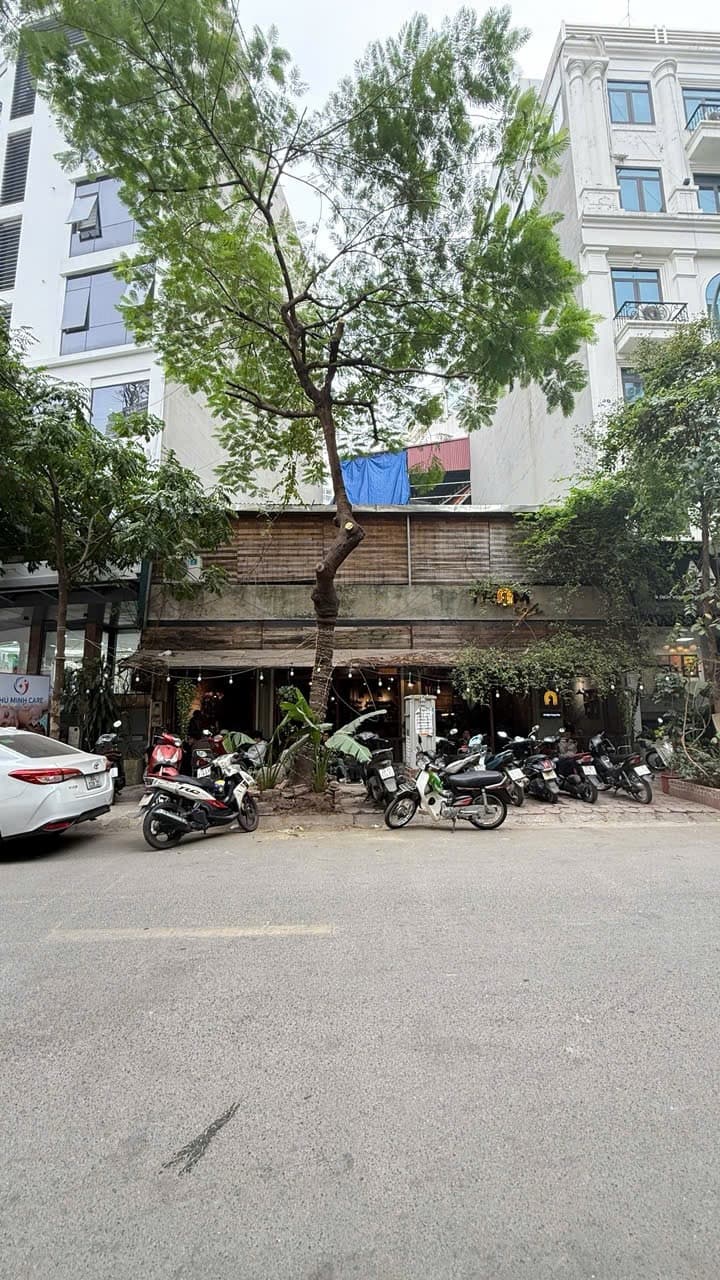 Nhà đất mặt phố, Cầu Giấy, Hà Nội - 140m² giá 99.9 tỷ