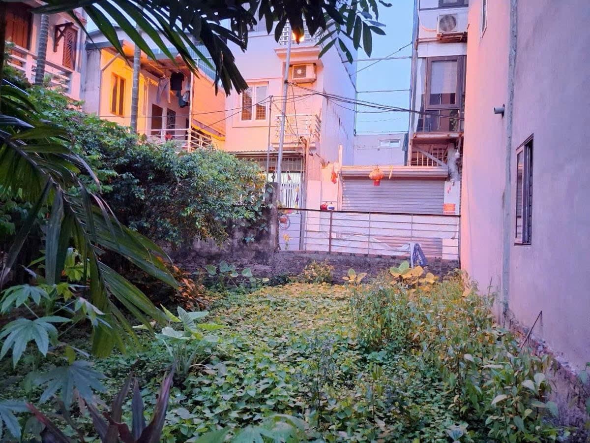 Nhà đất mặt phố, Hoàng Mai, Hà Nội - 77m² giá 11.6 tỷ