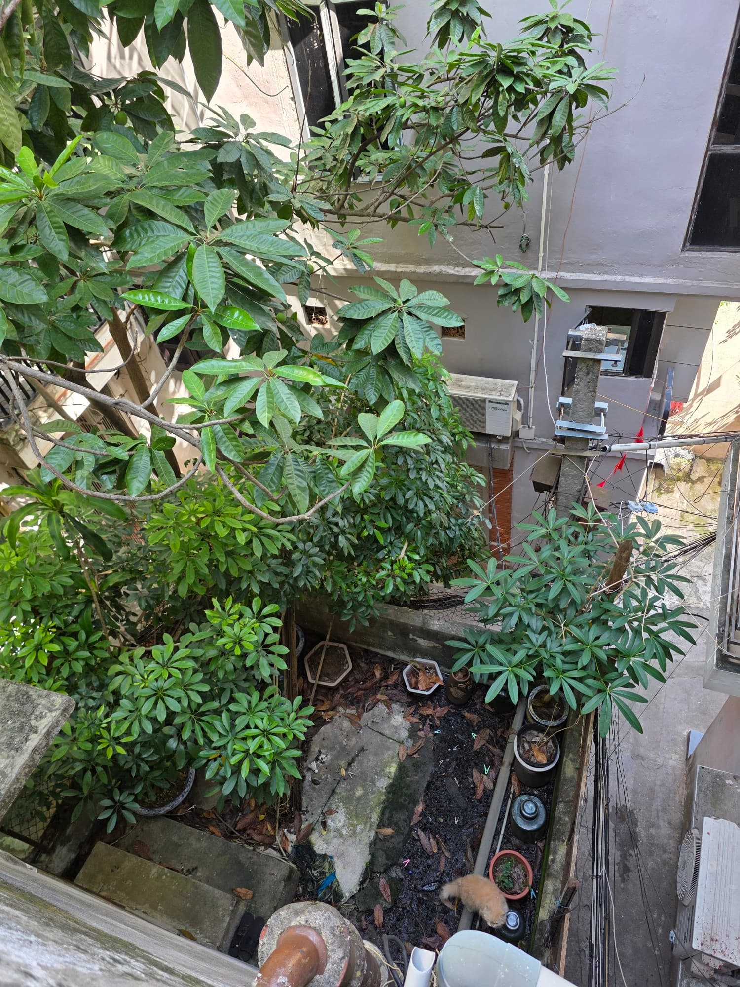 Nhà đất mặt phố, Ba Đình, Hà Nội - 40m² giá 12 tỷ