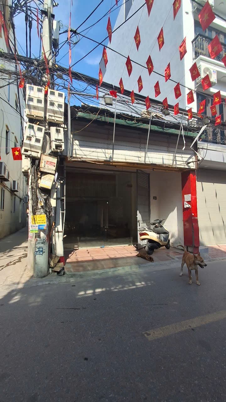 Nhà đất mặt phố, Hoàng Mai, Hà Nội - 140m² giá 36.5 tỷ