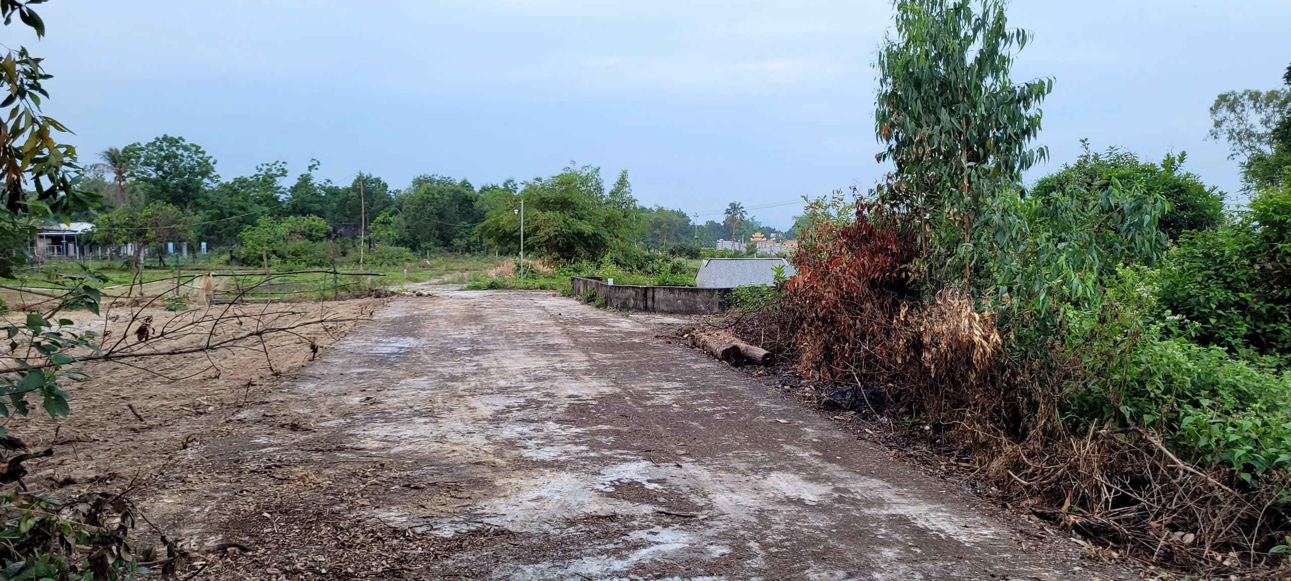 Nhà đất mặt phố, Hòa Vang, Đà Nẵng - 1000m² giá 3.69 tỷ