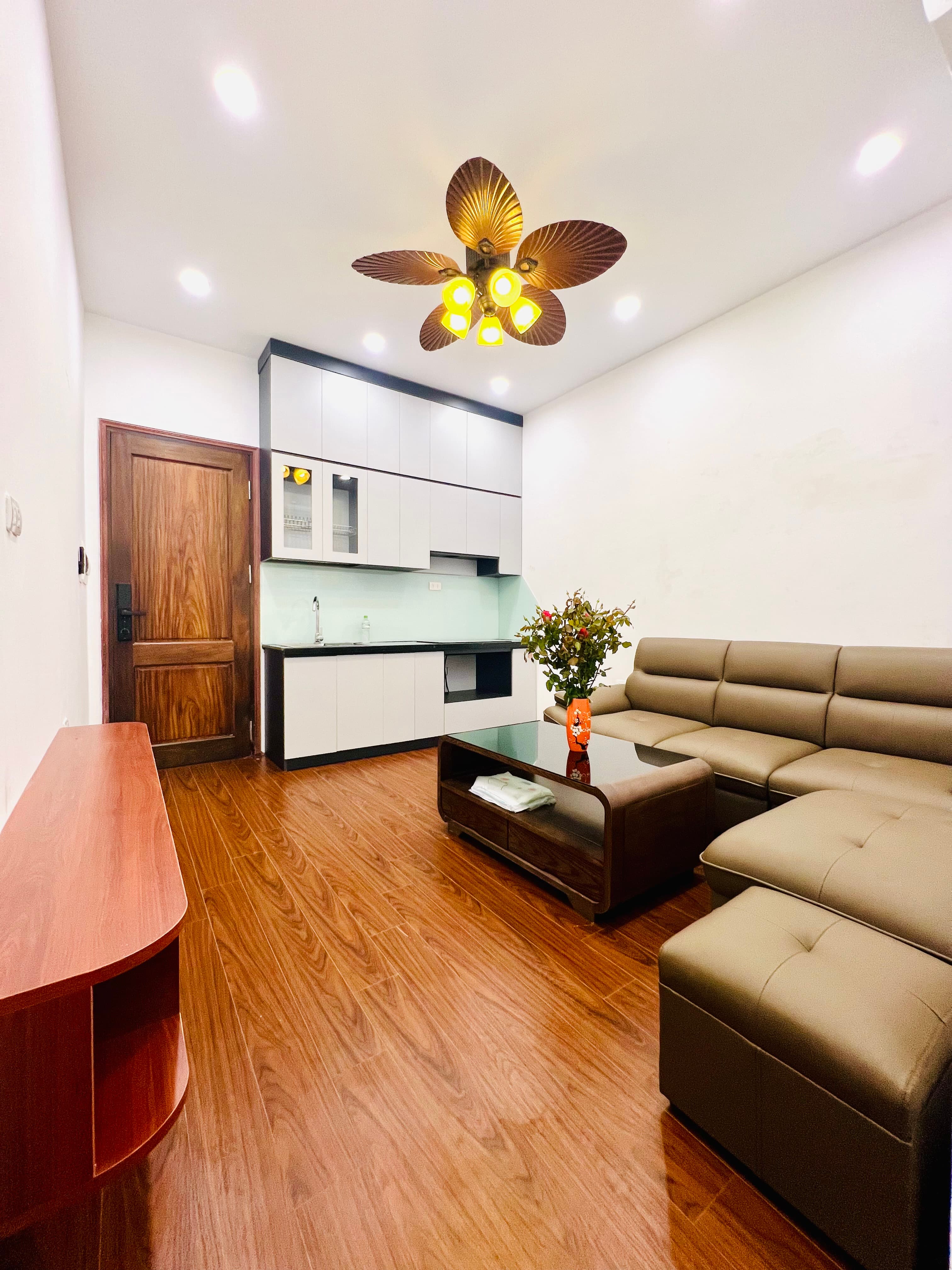 Căn hộ mặt phố, Thanh Xuân, Hà Nội - 17m² giá 3.16 tỷ