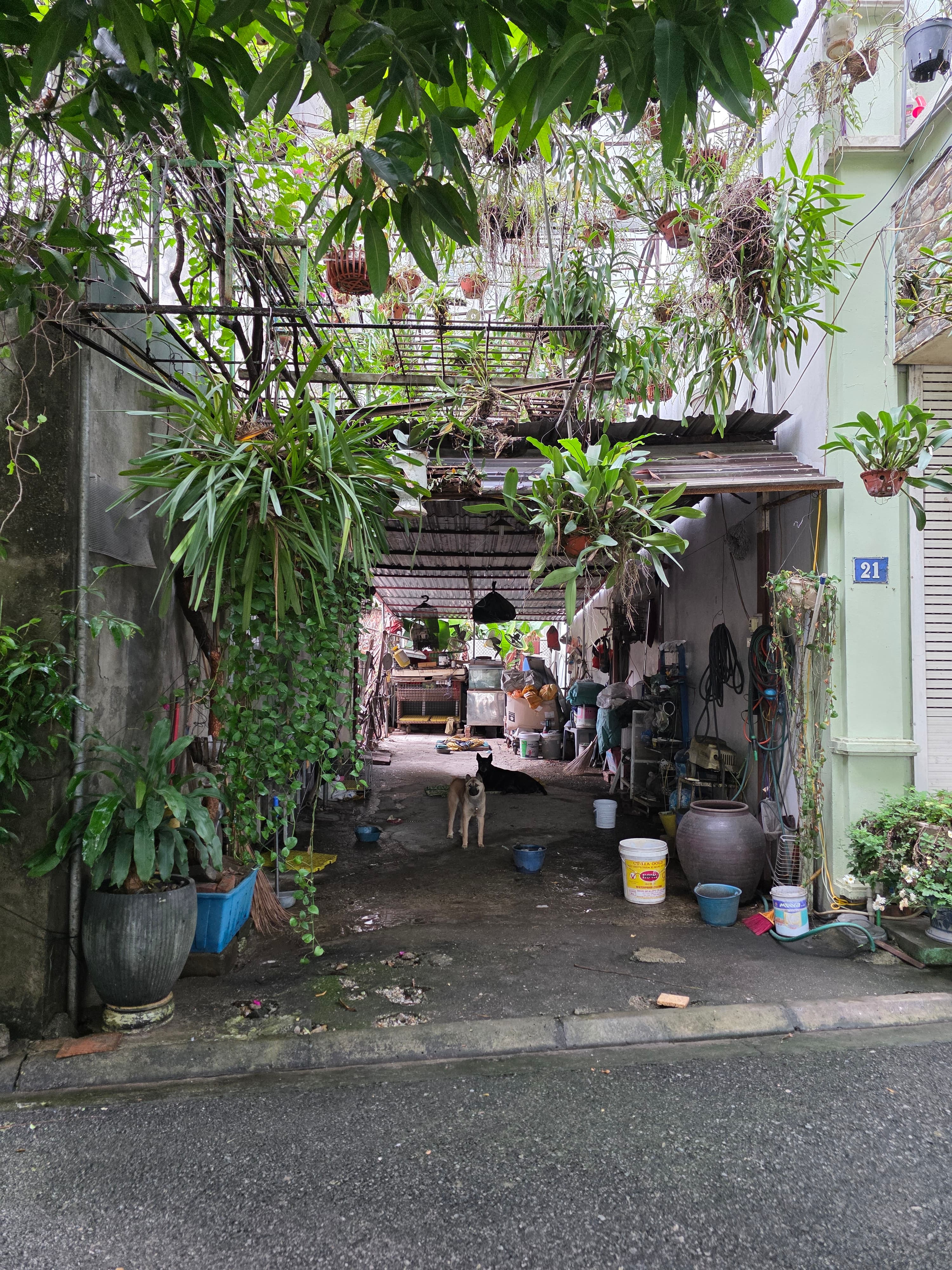 Nhà đất mặt phố, Long Biên, Hà Nội - 61m² giá 18.5 tỷ