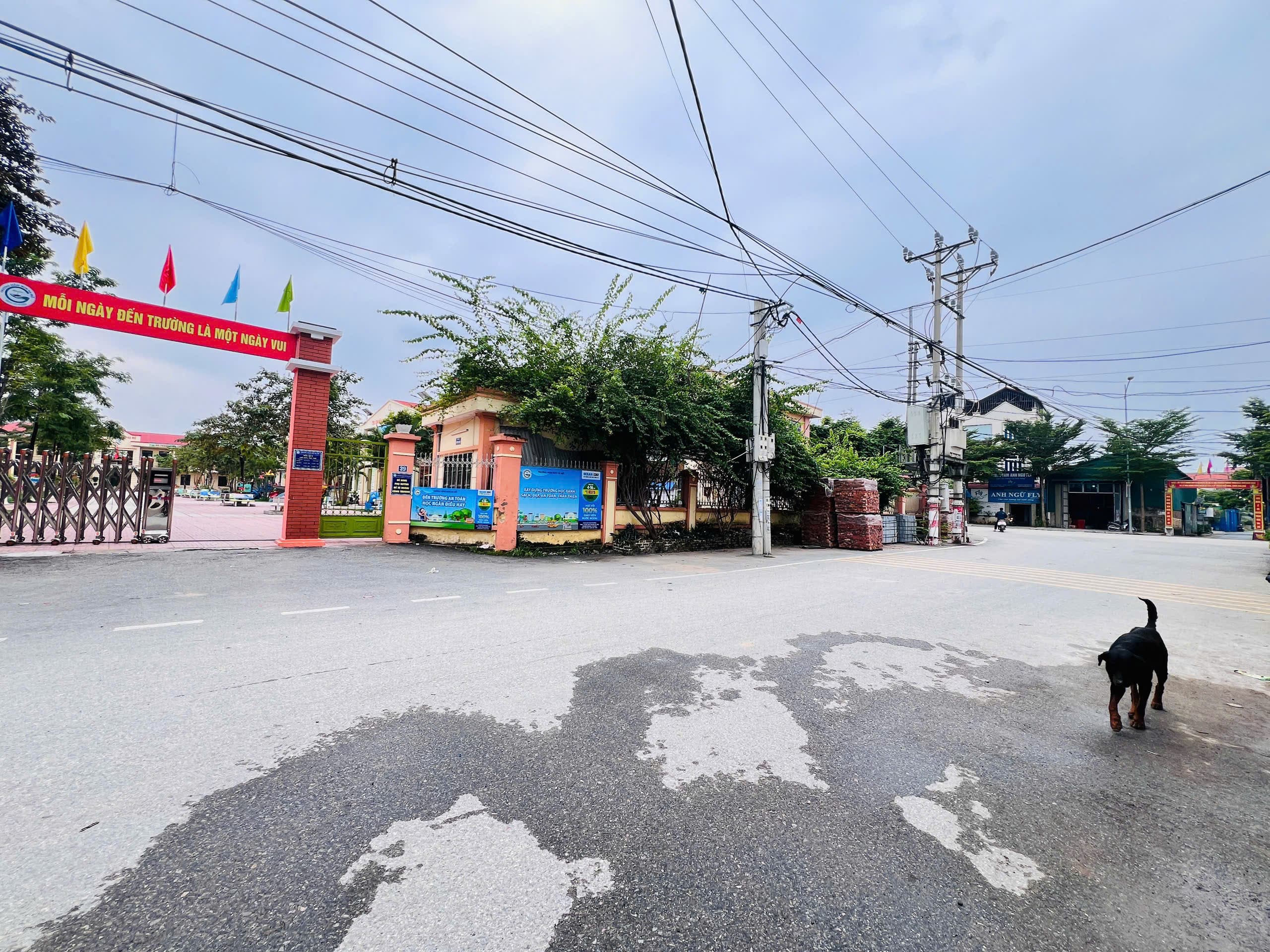Nhà đất mặt phố Đan Phượng, Hà Nội - 12, .4m² giá 9.5 tỷ
